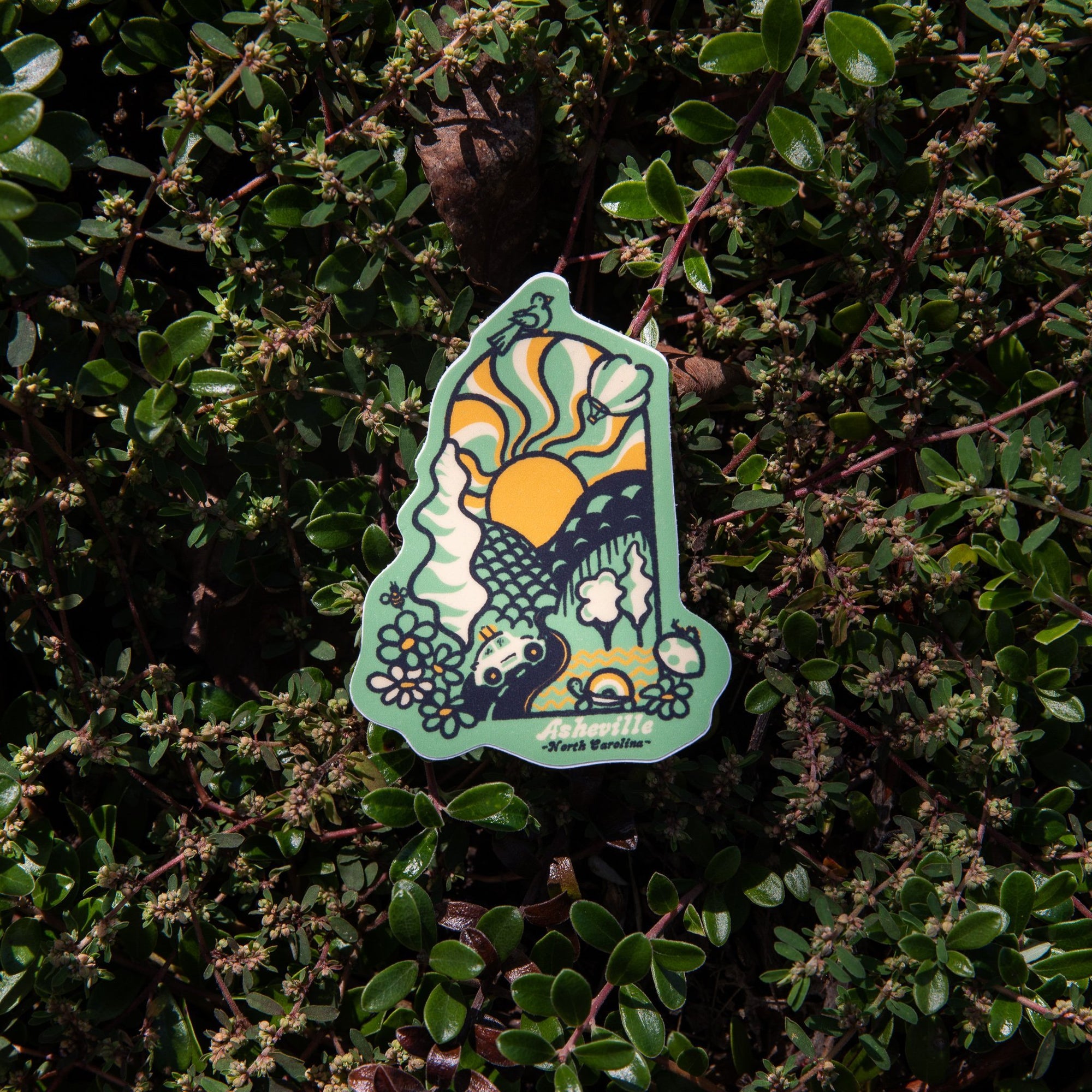 Groovy Day (Asheville) - menottees