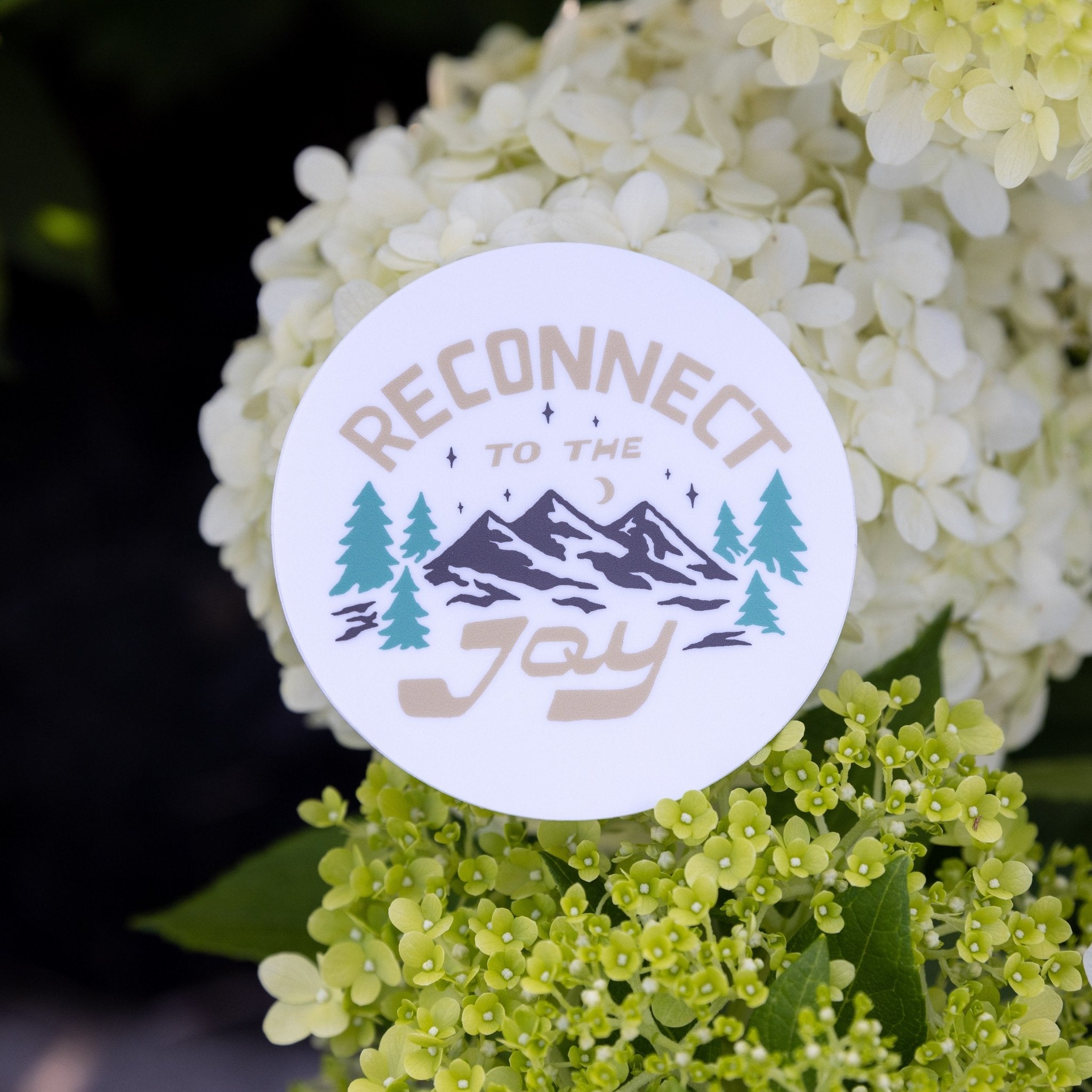 Reconnect to the Joy - menottees