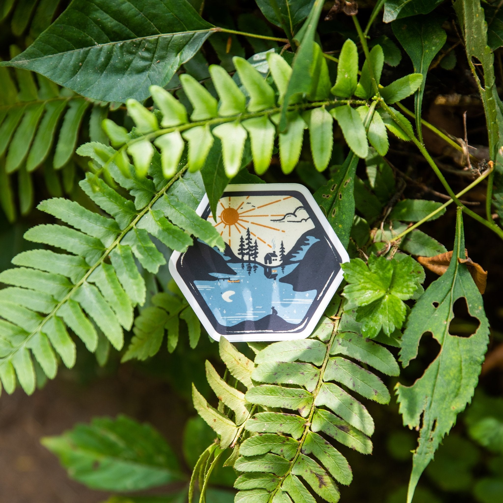 Reflection - menottees