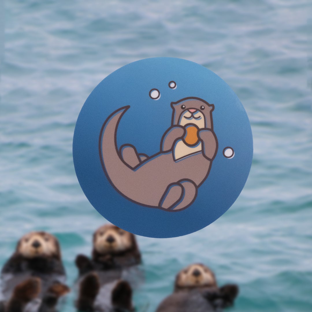 River Guide - menottees