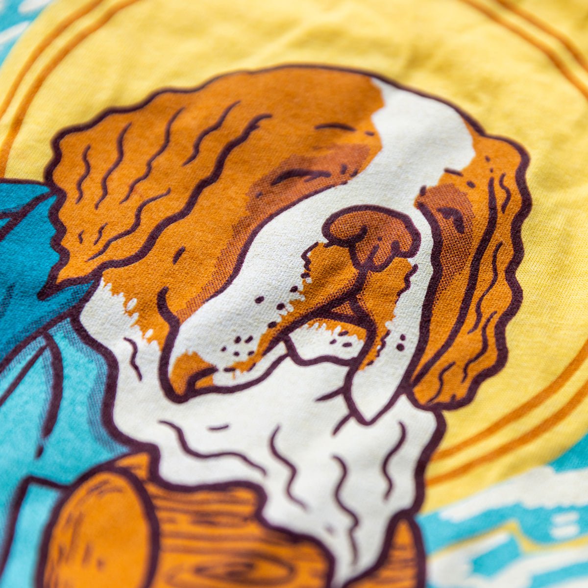 Saint Bernard - menottees