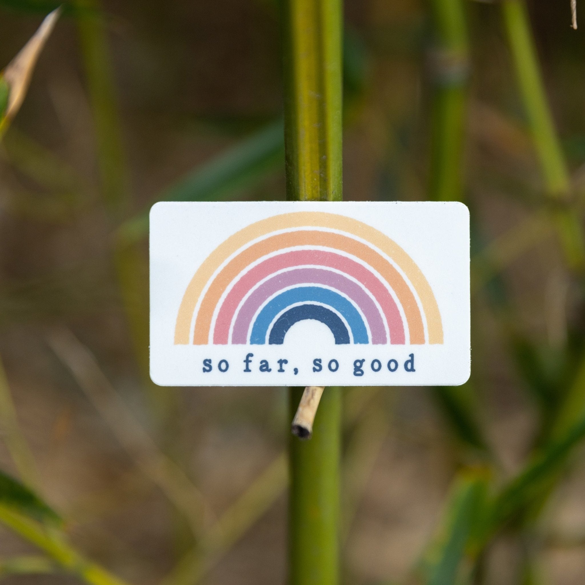 So Far, So Good - menottees