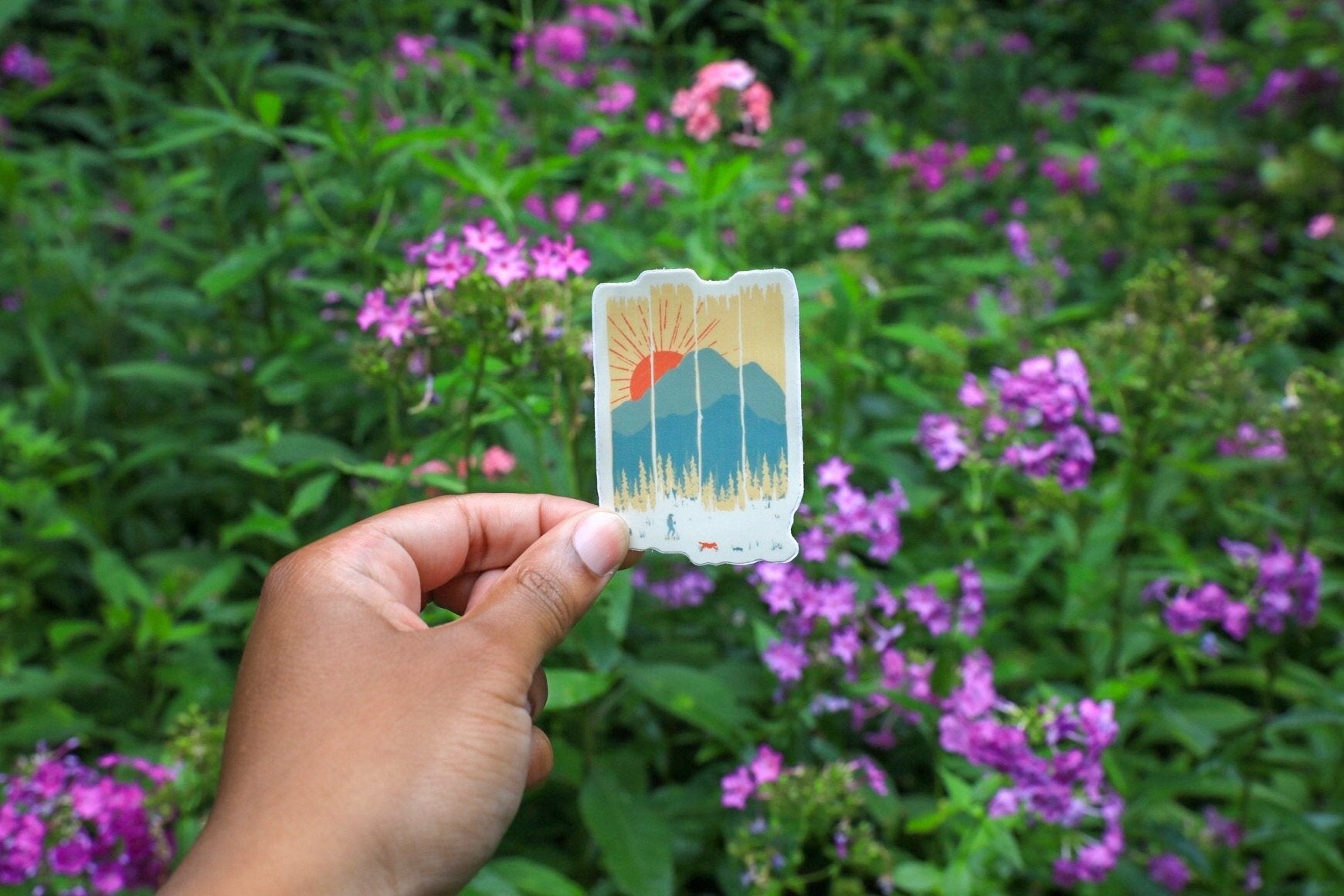 Summer Mountain Weather - menottees