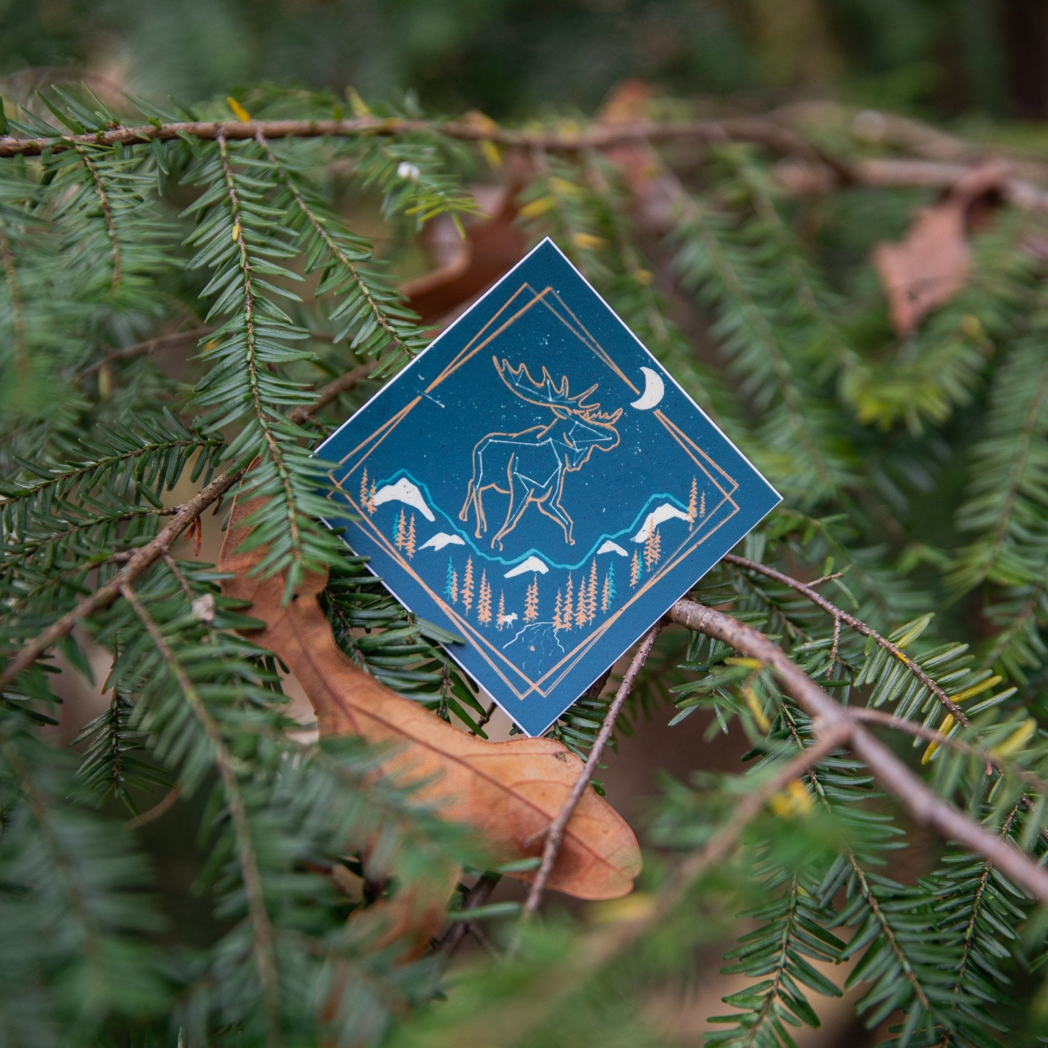 The Heaven's Wild Moose - menottees