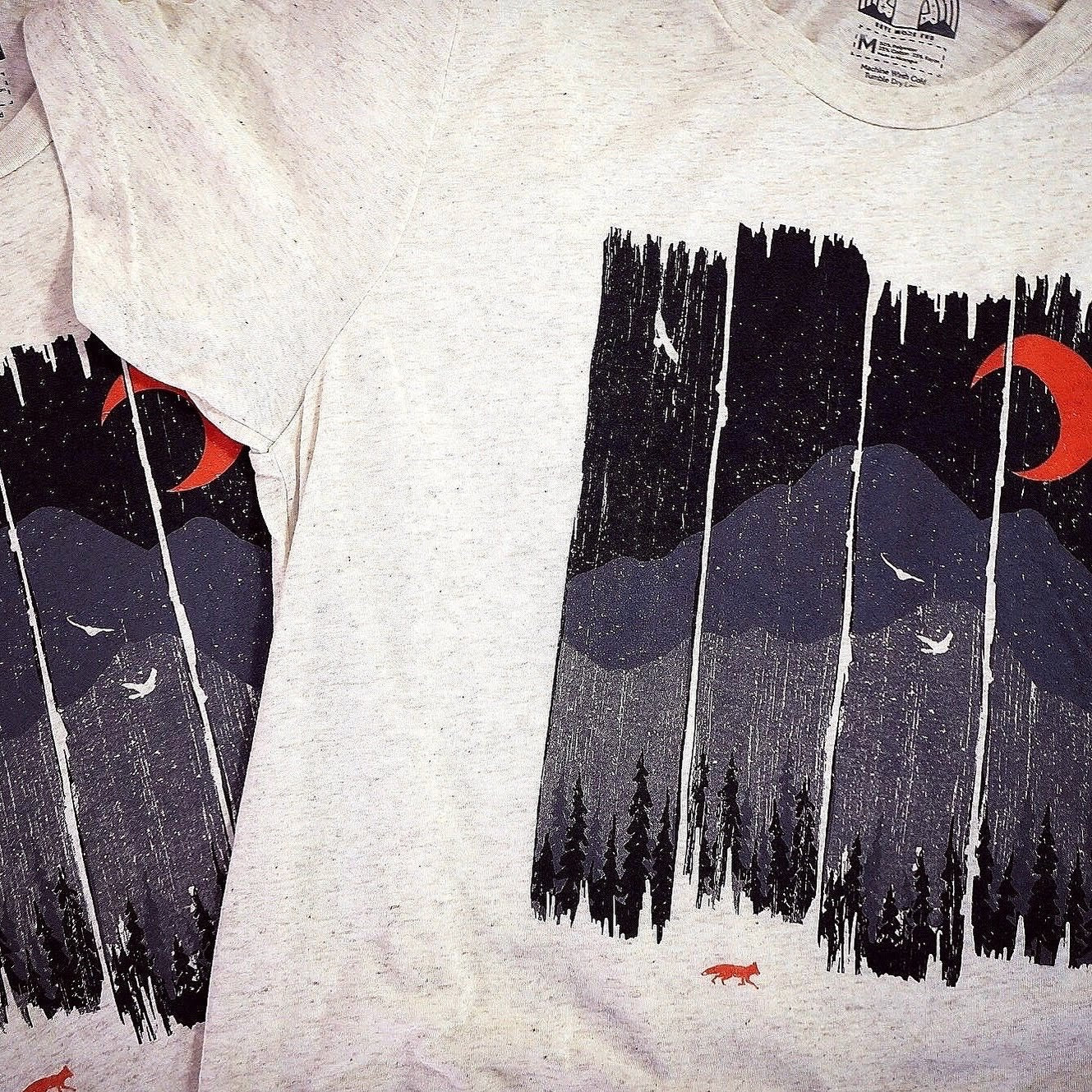 Winter Mountain Weather - menottees