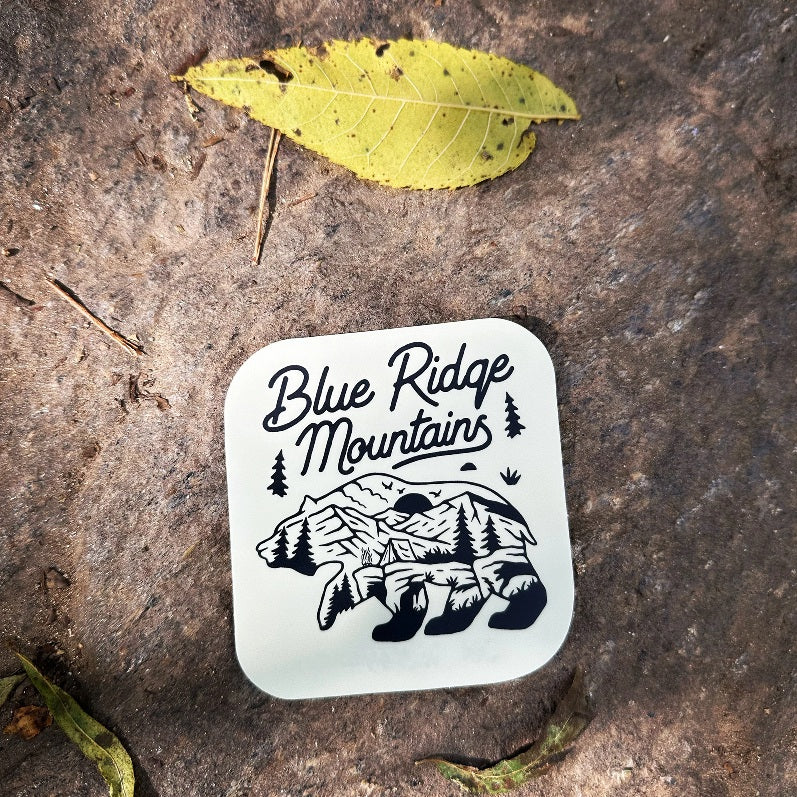 Blue Ridge Mountains Bear (Asheville)