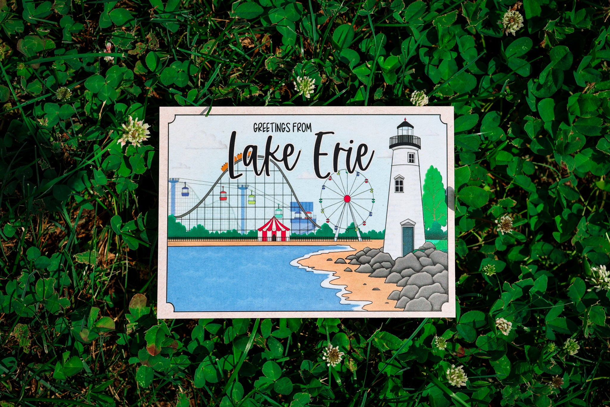 Lake Erie - Rollercoaster Postcard