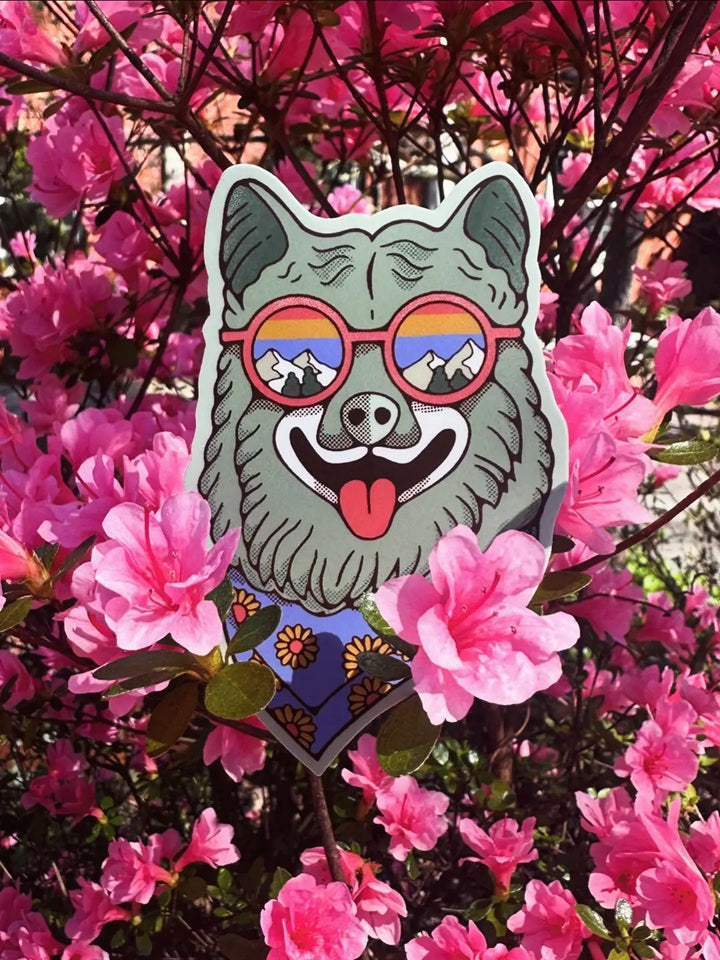Mountain Sunglasses Dog (The Bark Life)