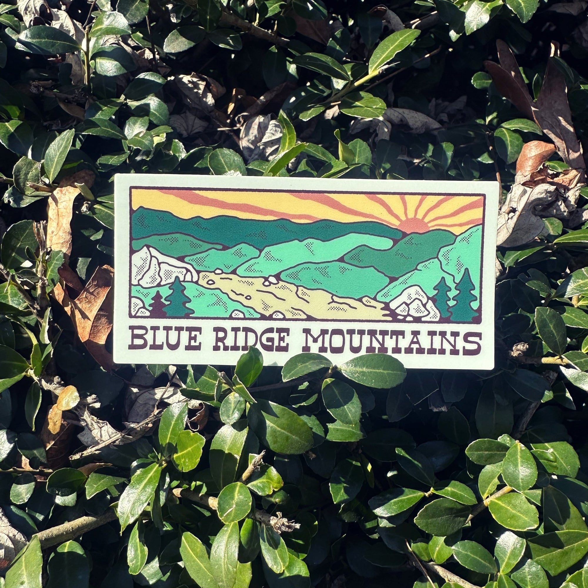 A Blue Ridge Trail - menottees