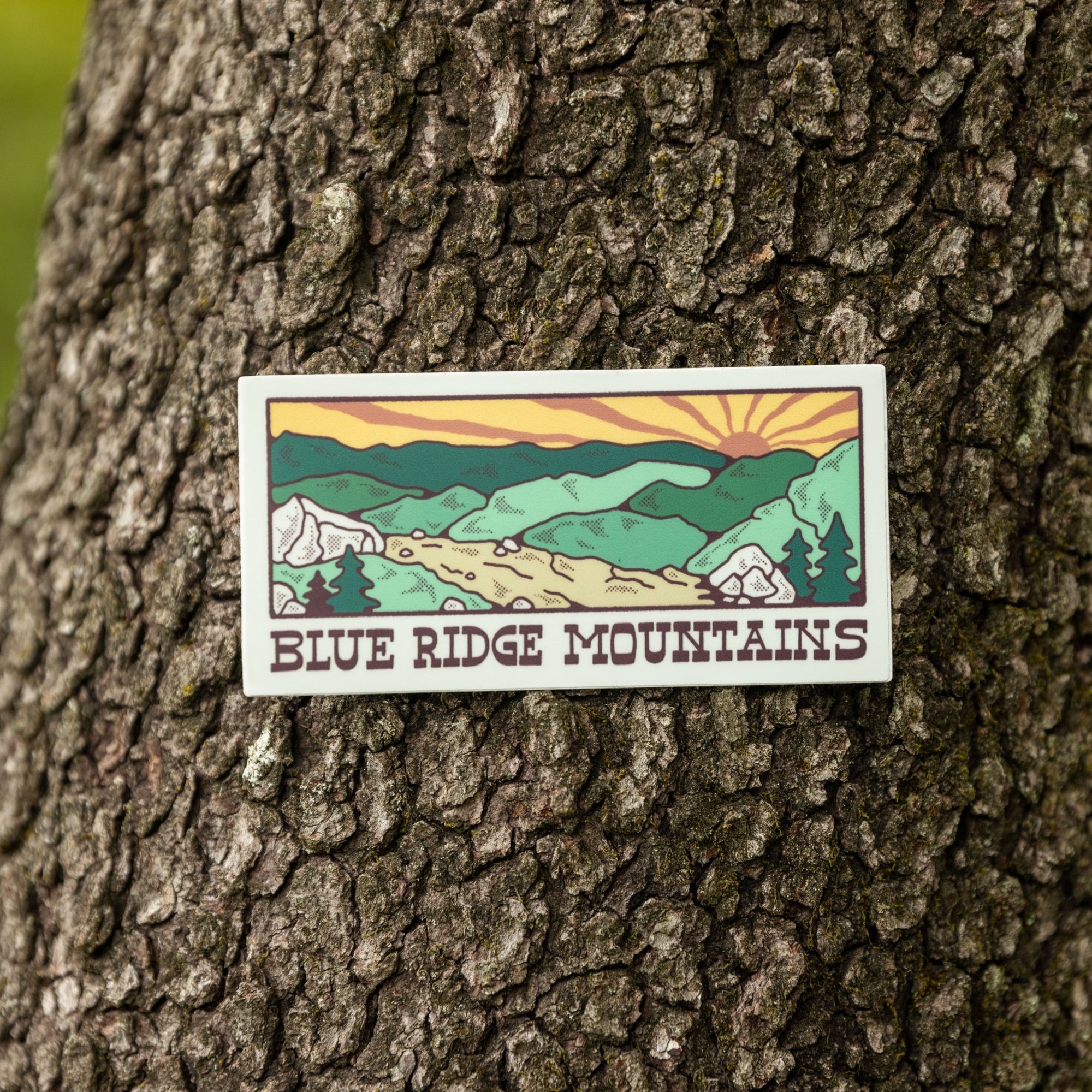 A Blue Ridge Trail - menottees