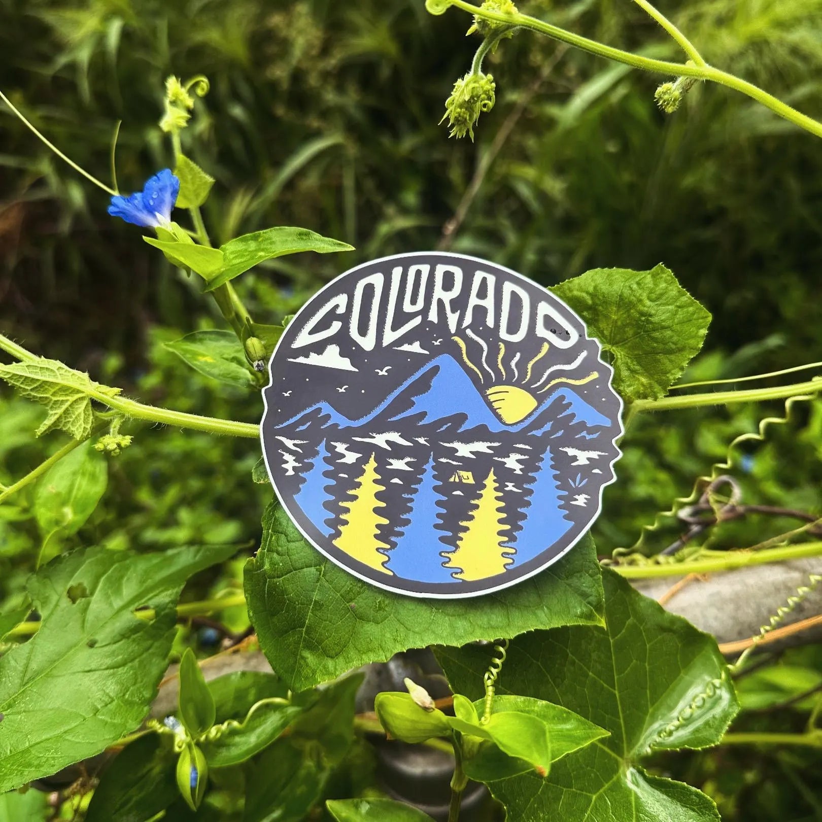 Colorado Nature (4 Pack) - Menottees