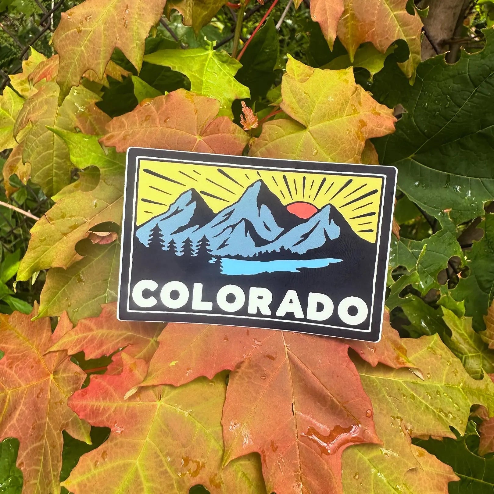 Colorado Nature (4 Pack) - Menottees