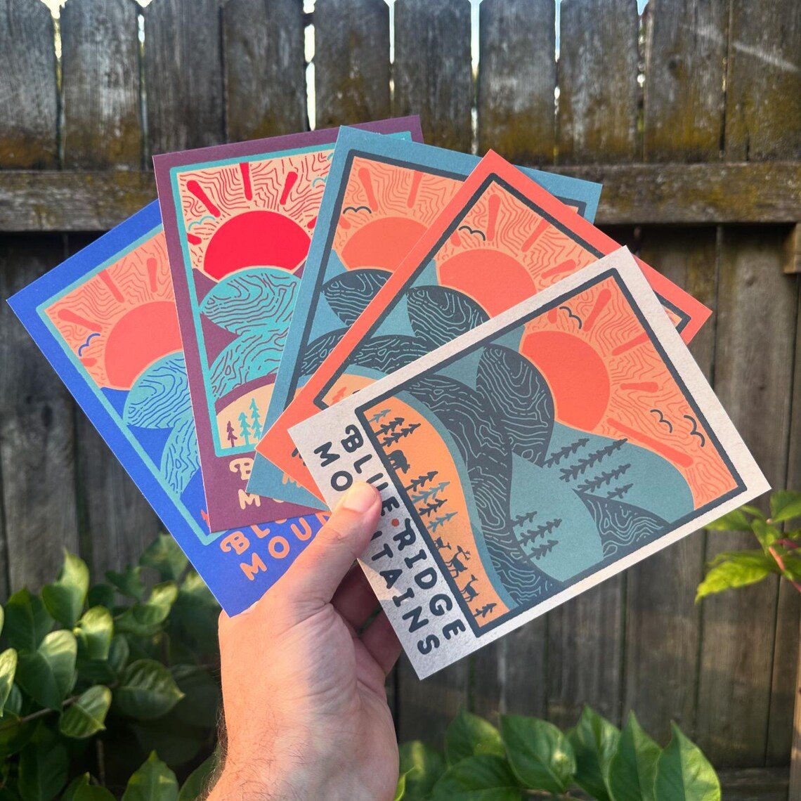 Hand holding five colorful Day Ridge postcards fanned out against wooden fence

