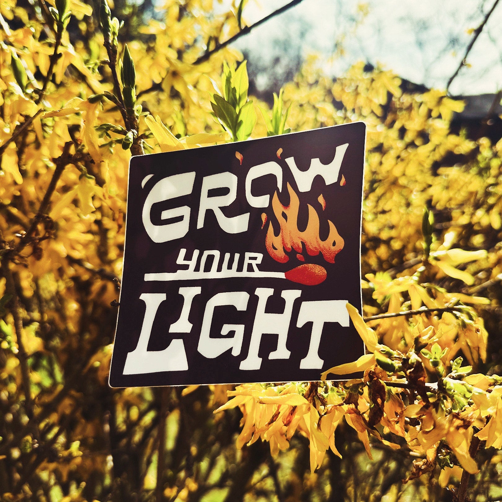 Grow Your Light - menottees