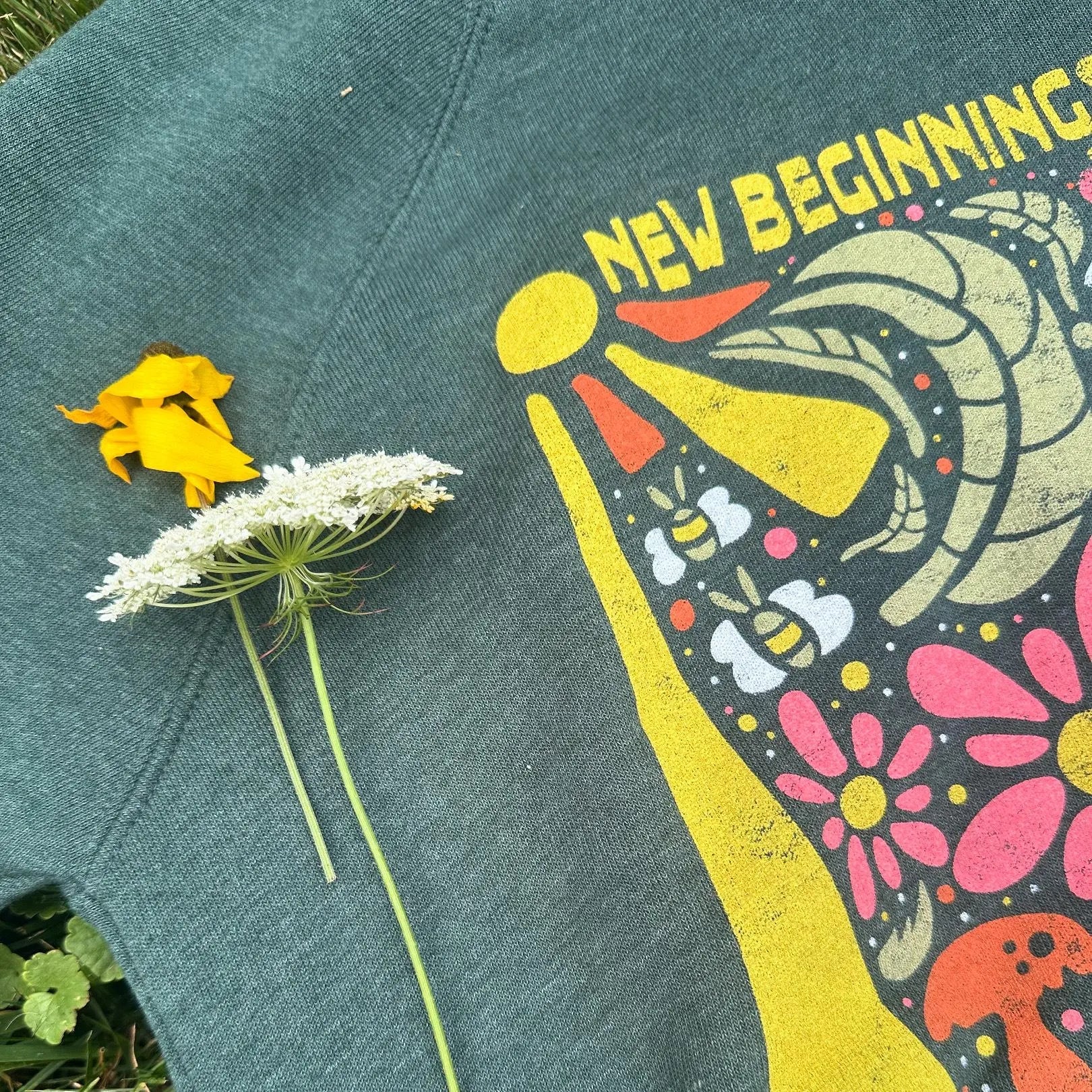 New Beginnings - menottees