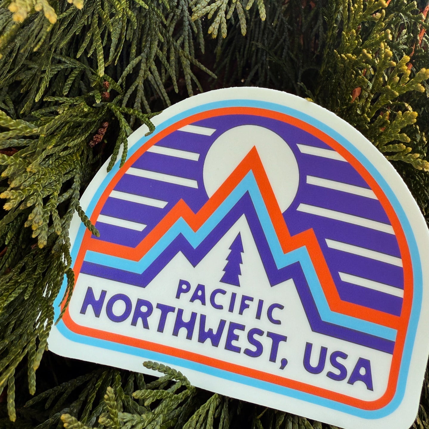 Peaks and Pines - menottees