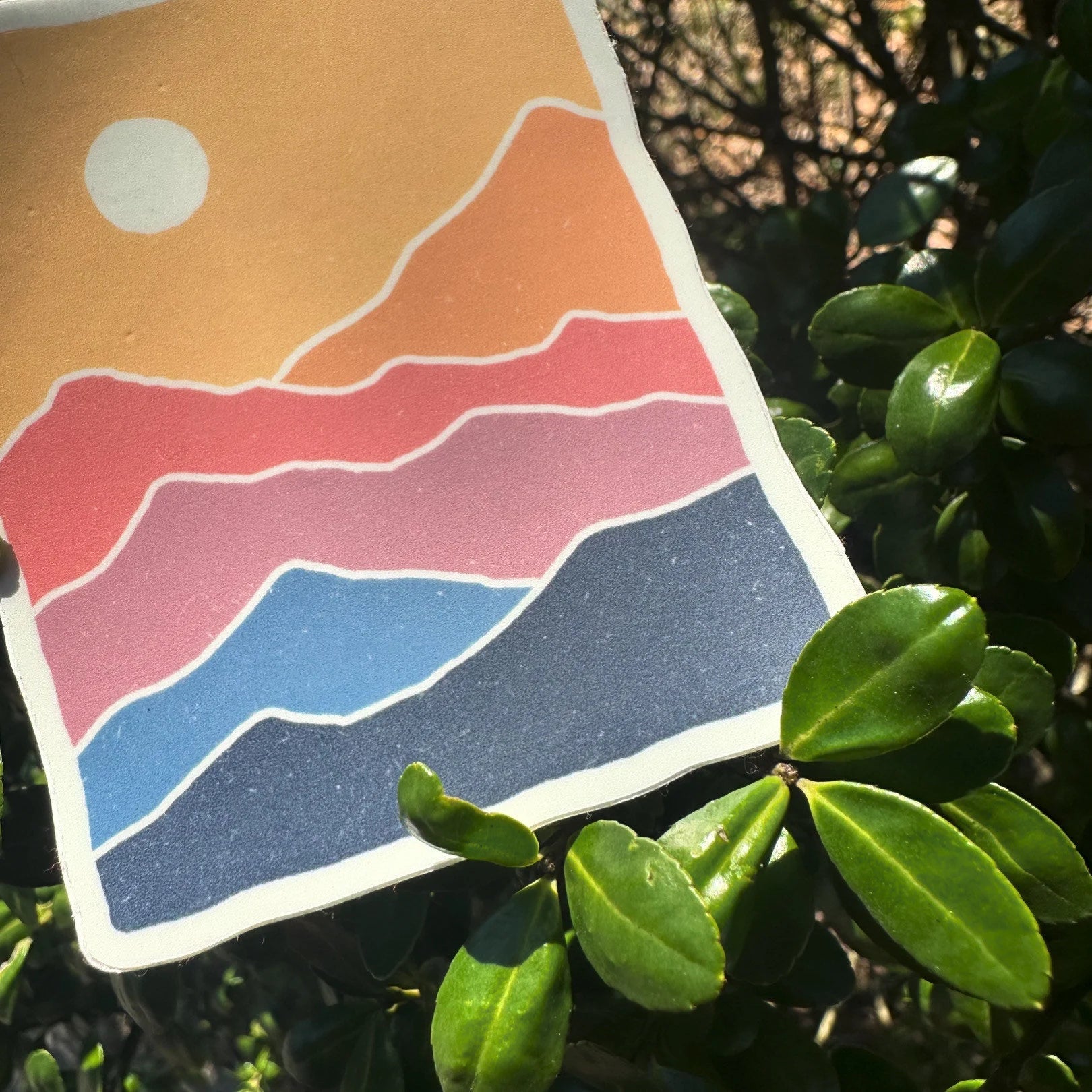 Range of Color - menottees