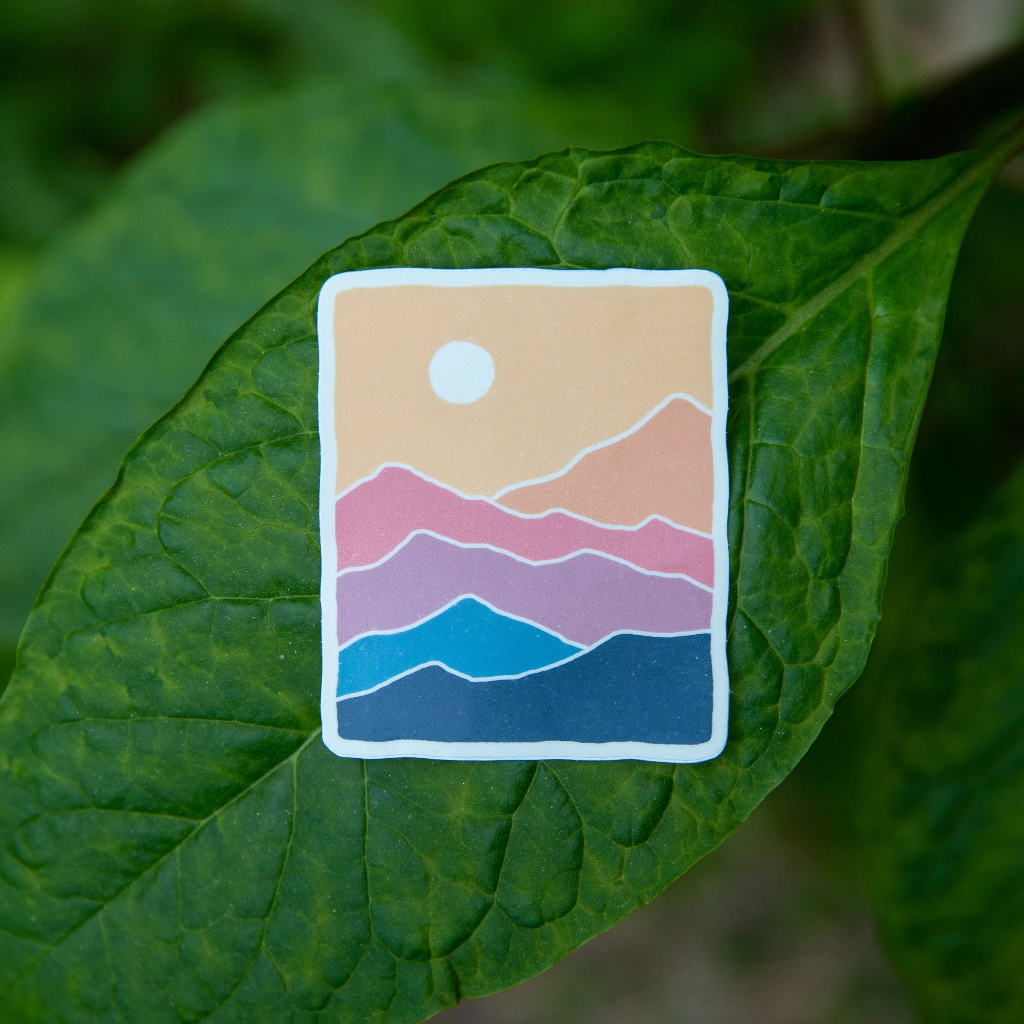 Range of Color - menottees
