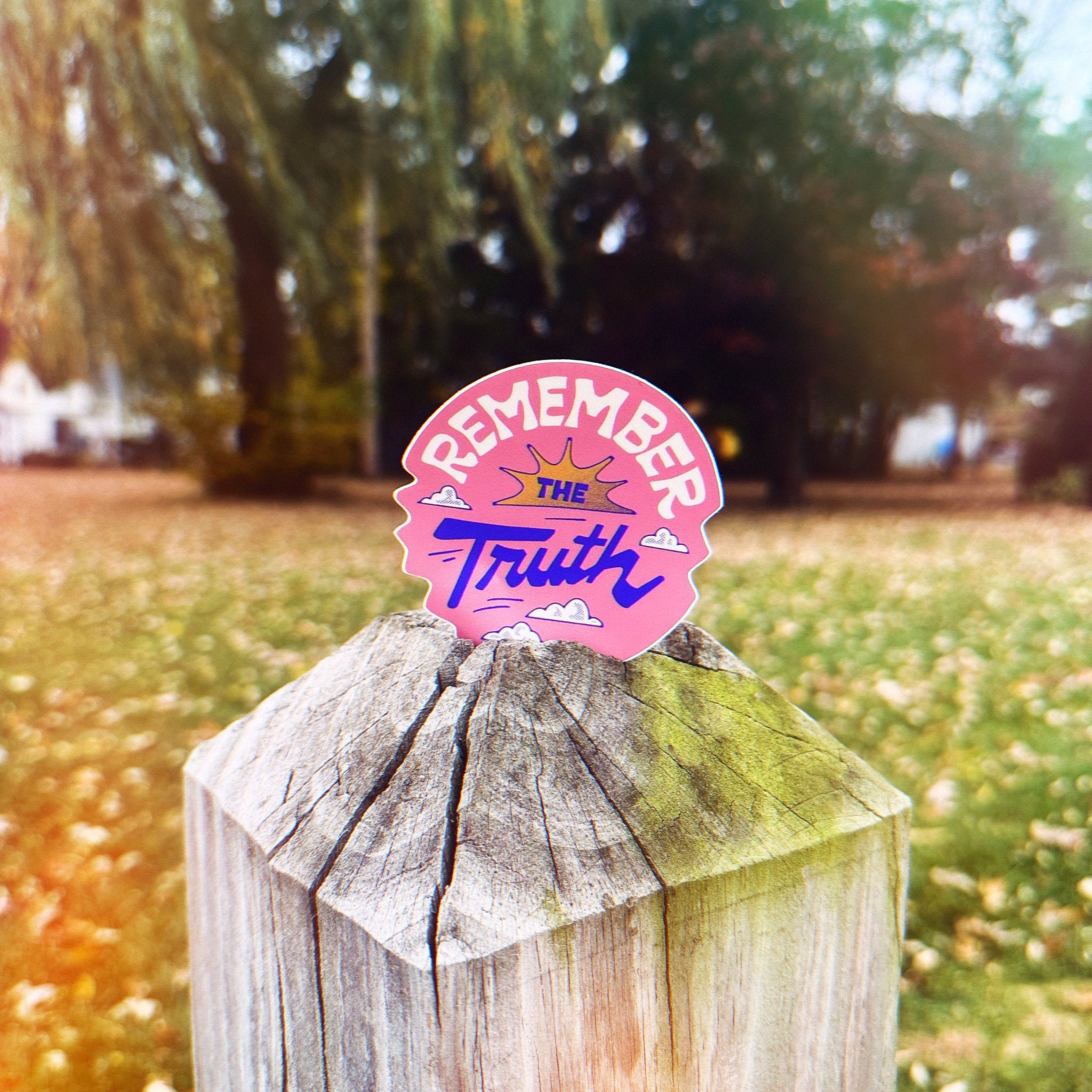 Remember the truth - menottees