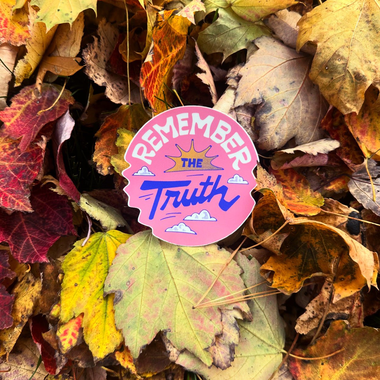 Remember the truth - menottees