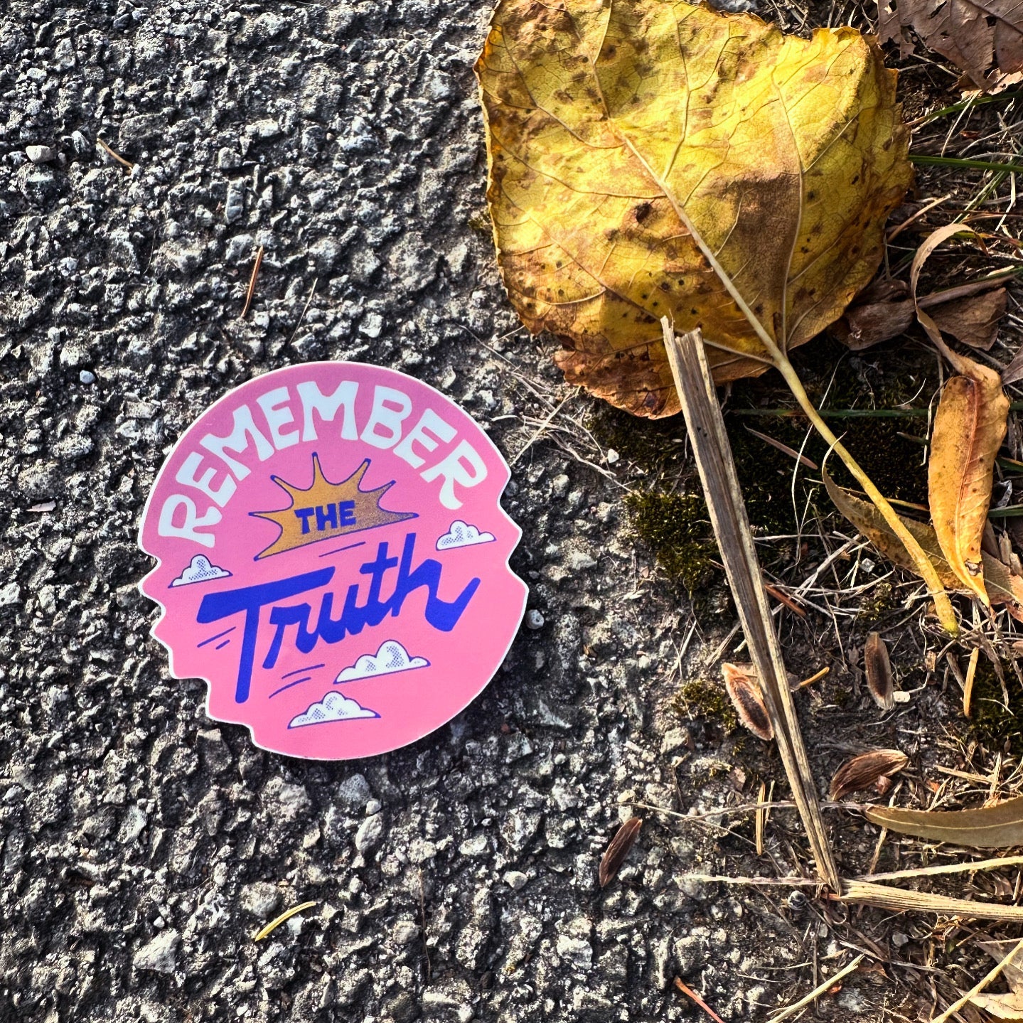 Remember the truth - menottees