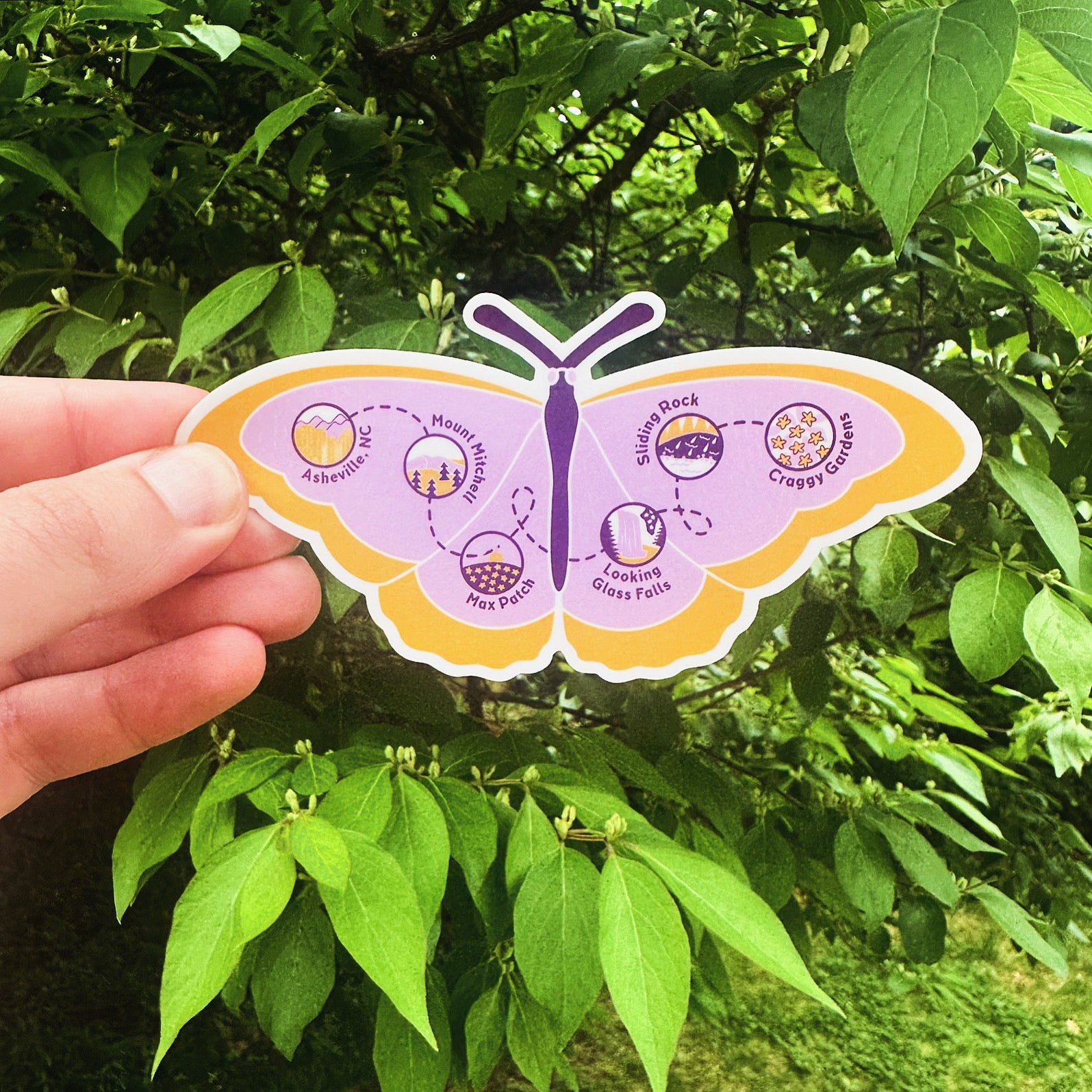 Spring Butterfly Trail - menottees