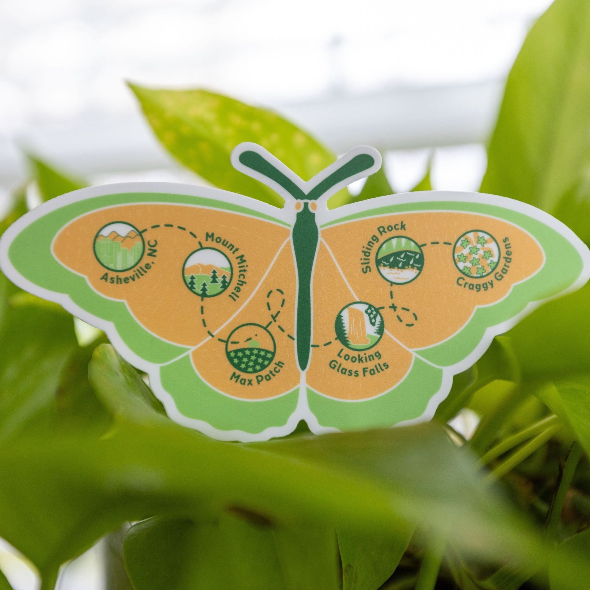 Spring Butterfly Trail - menottees