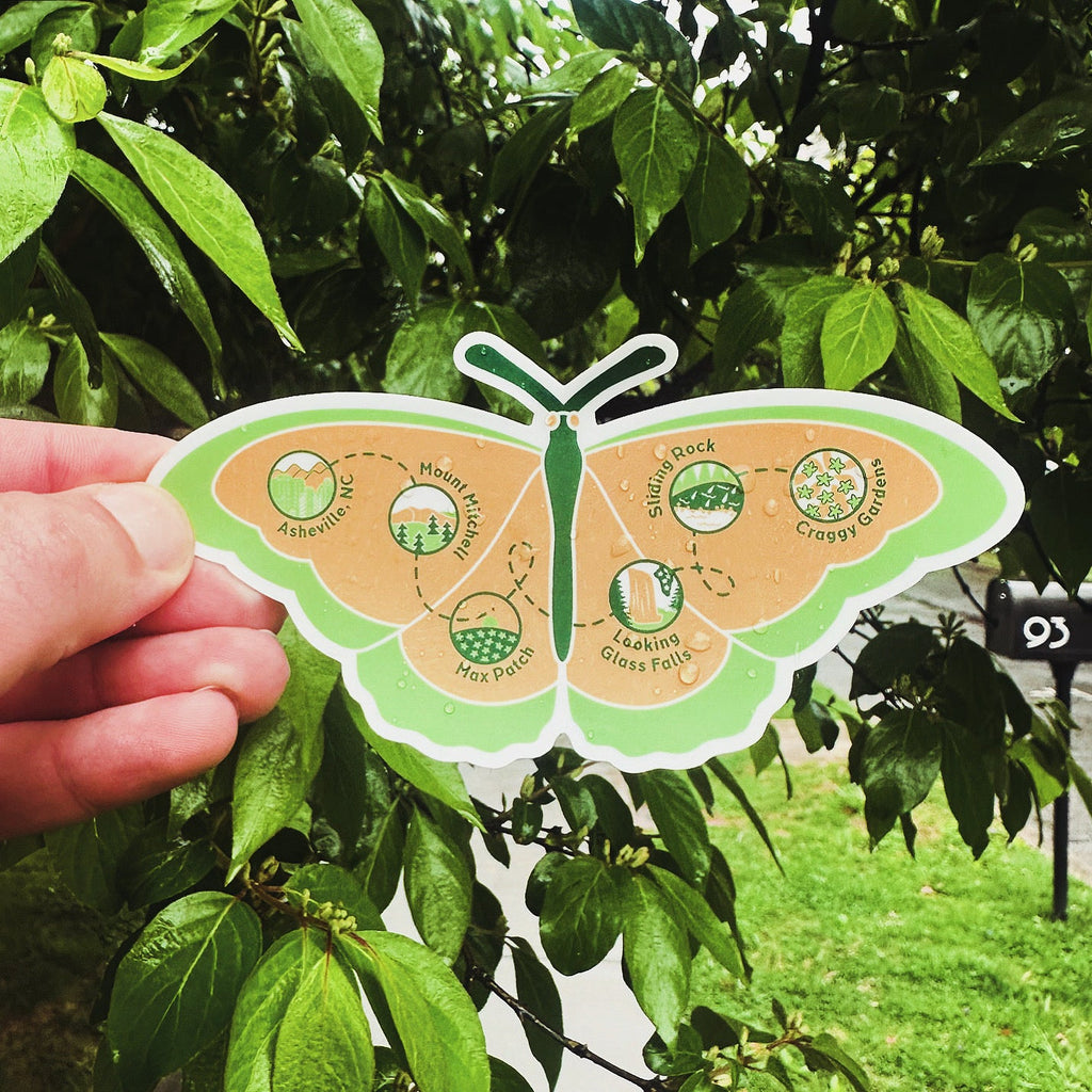 Spring Butterfly Trail - menottees