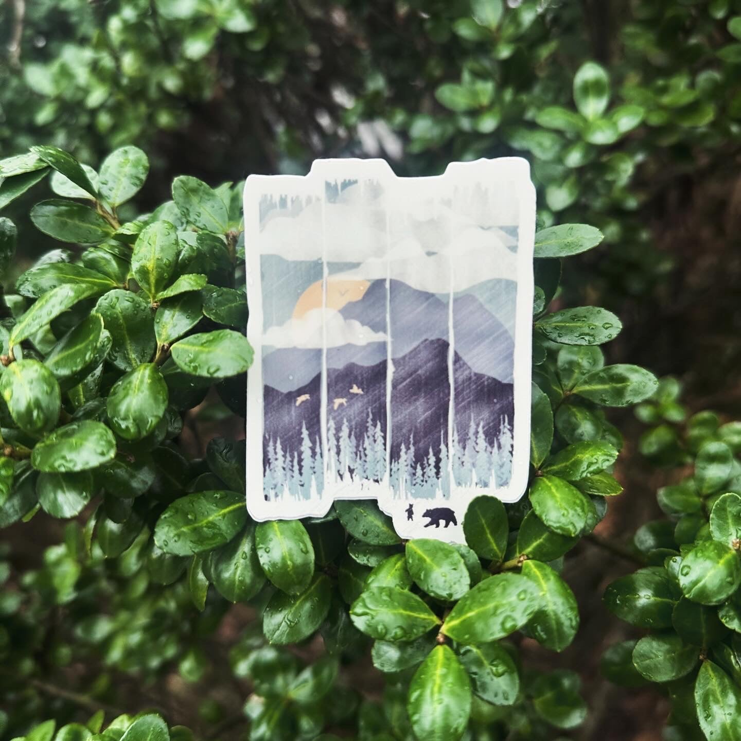 Spring Mountain Weather - menottees