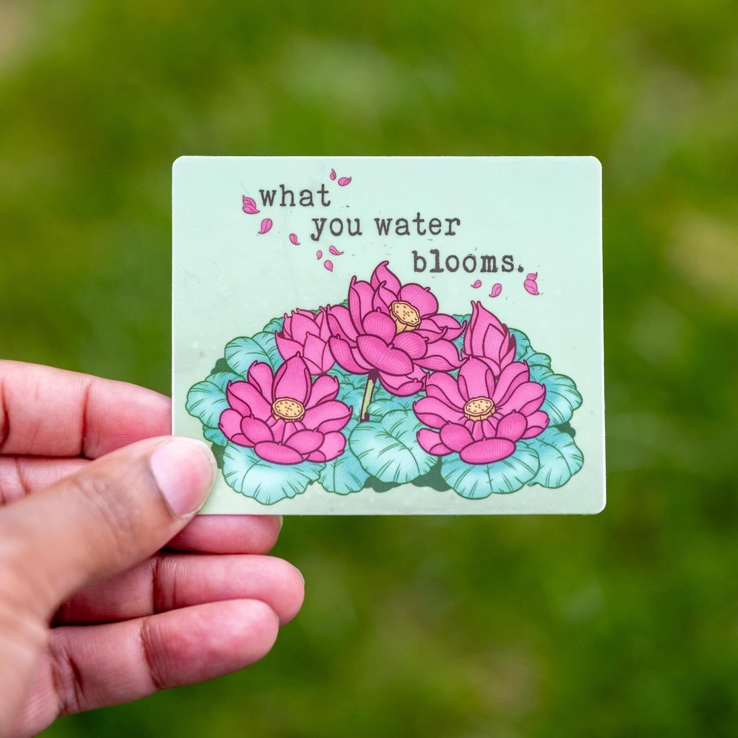 What You Water Blooms - menottees