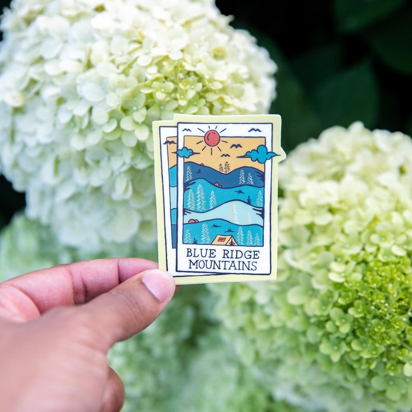 A Blue Ridge Polaroid (Sunny Mountain) - menottees