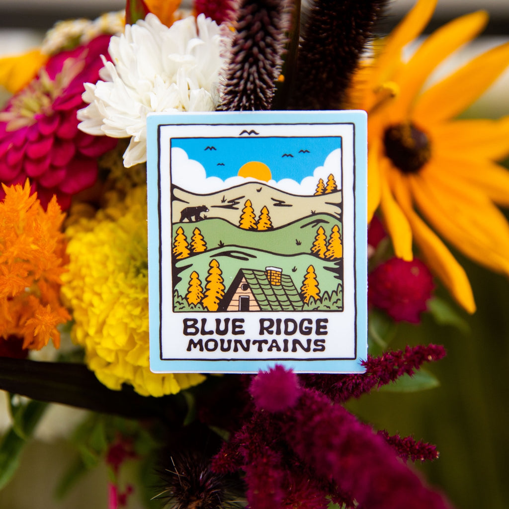 A Sunny Mountain Polaroid - menottees