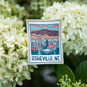 Asheville Polaroid - menottees