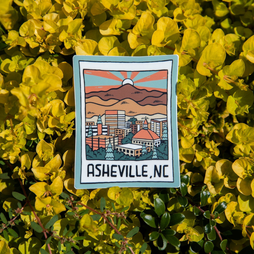 Asheville Polaroid - menottees