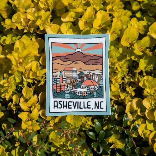 Asheville Polaroid - menottees