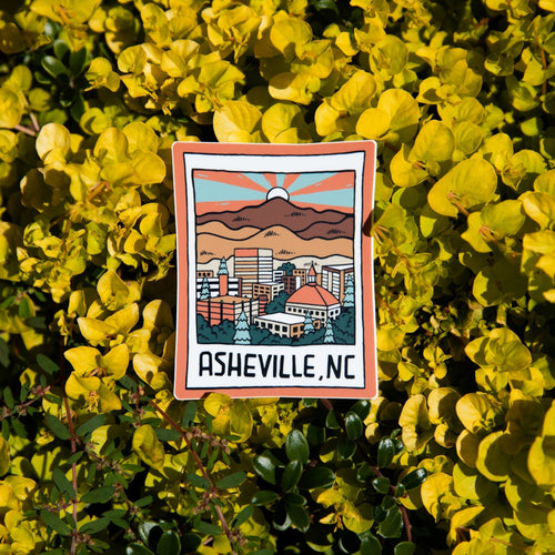 Asheville Polaroid - menottees