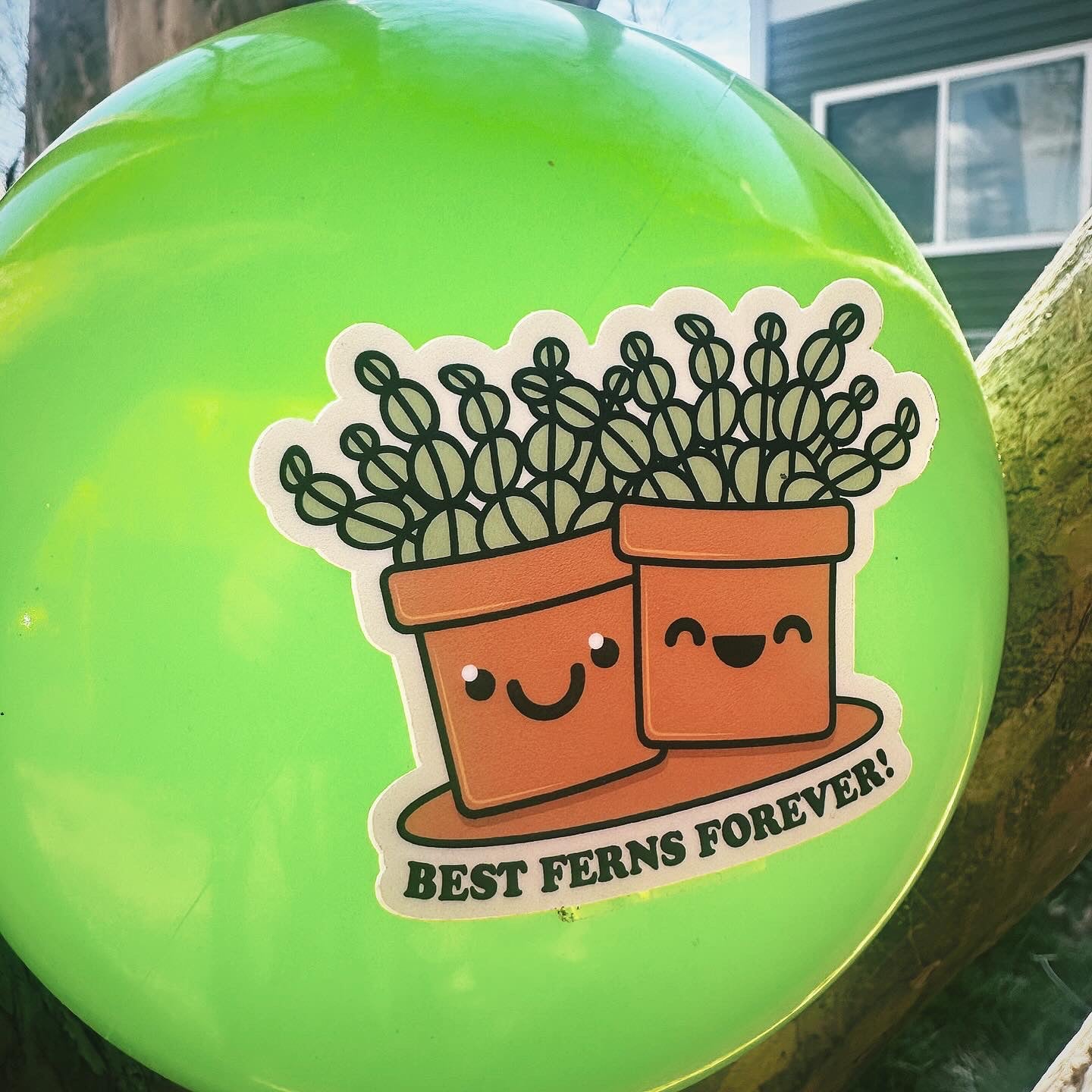 Best Ferns Forever - menottees