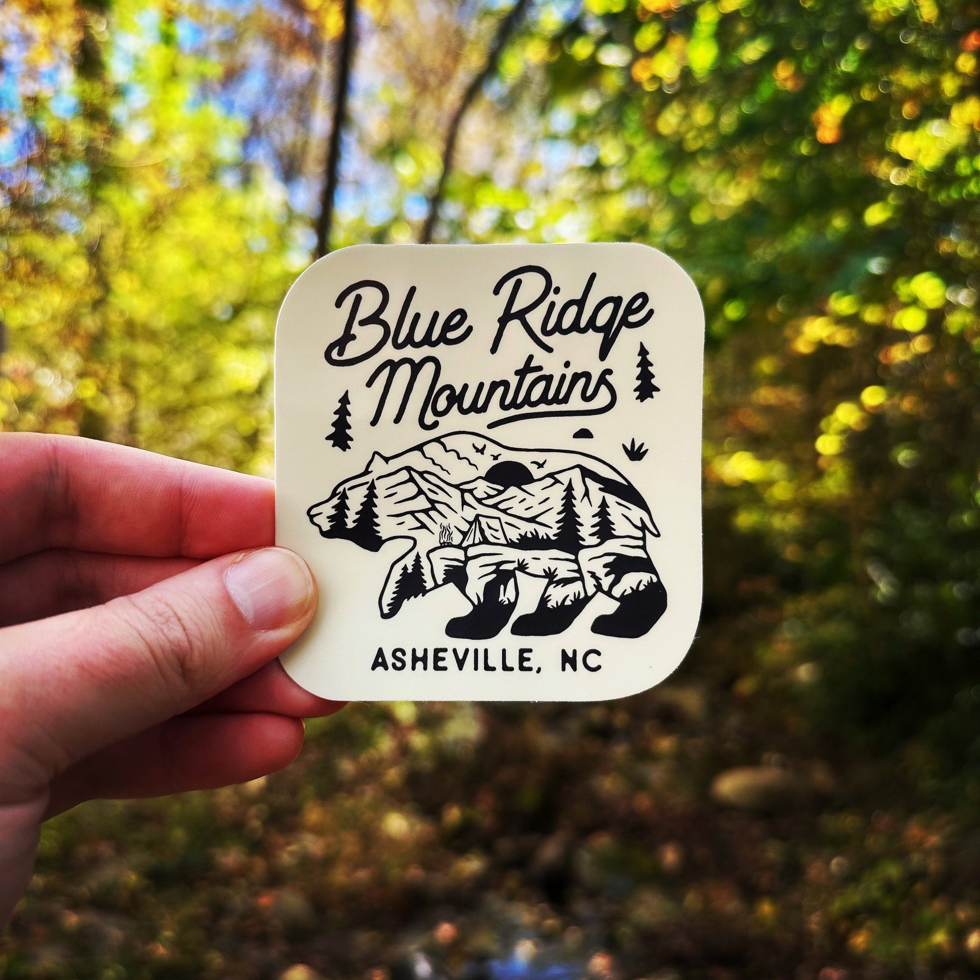 Blue Ridge Mountains Bear - menottees