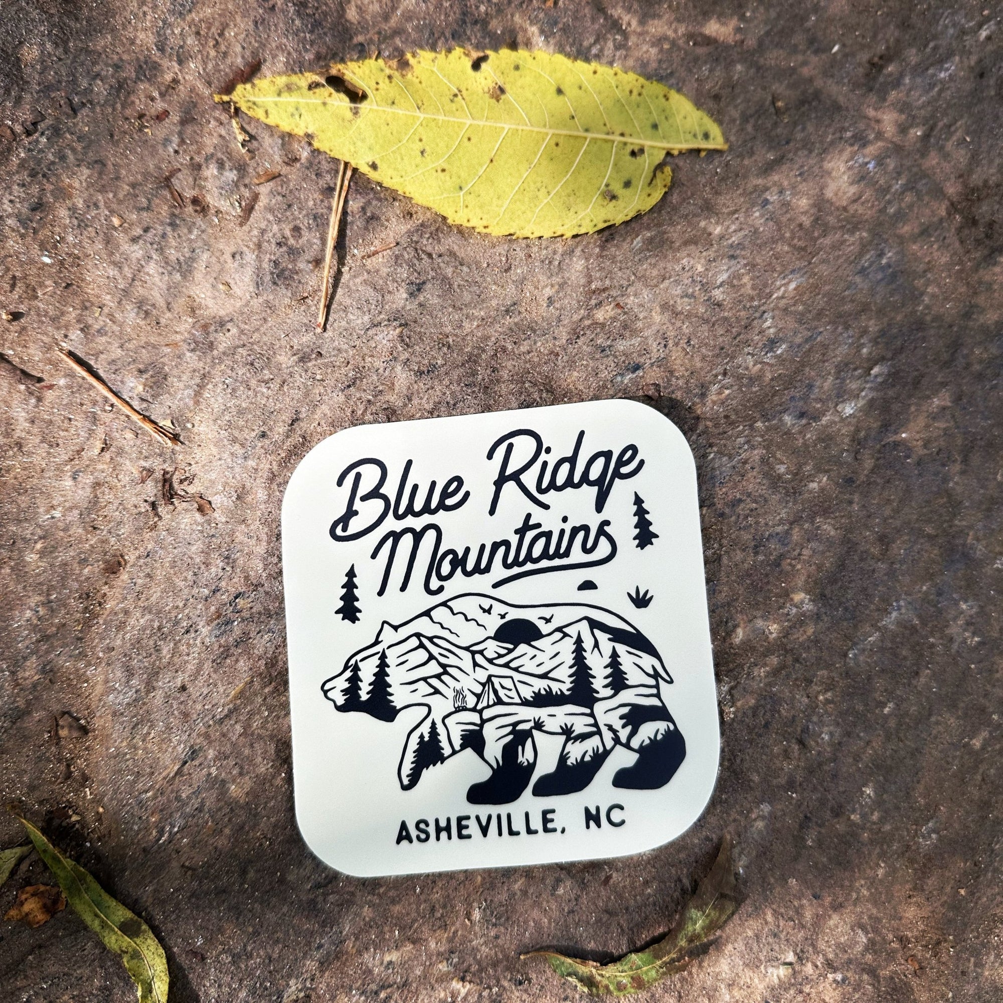 Blue Ridge Mountains Bear - menottees