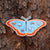 Butterfly Trail - menottees