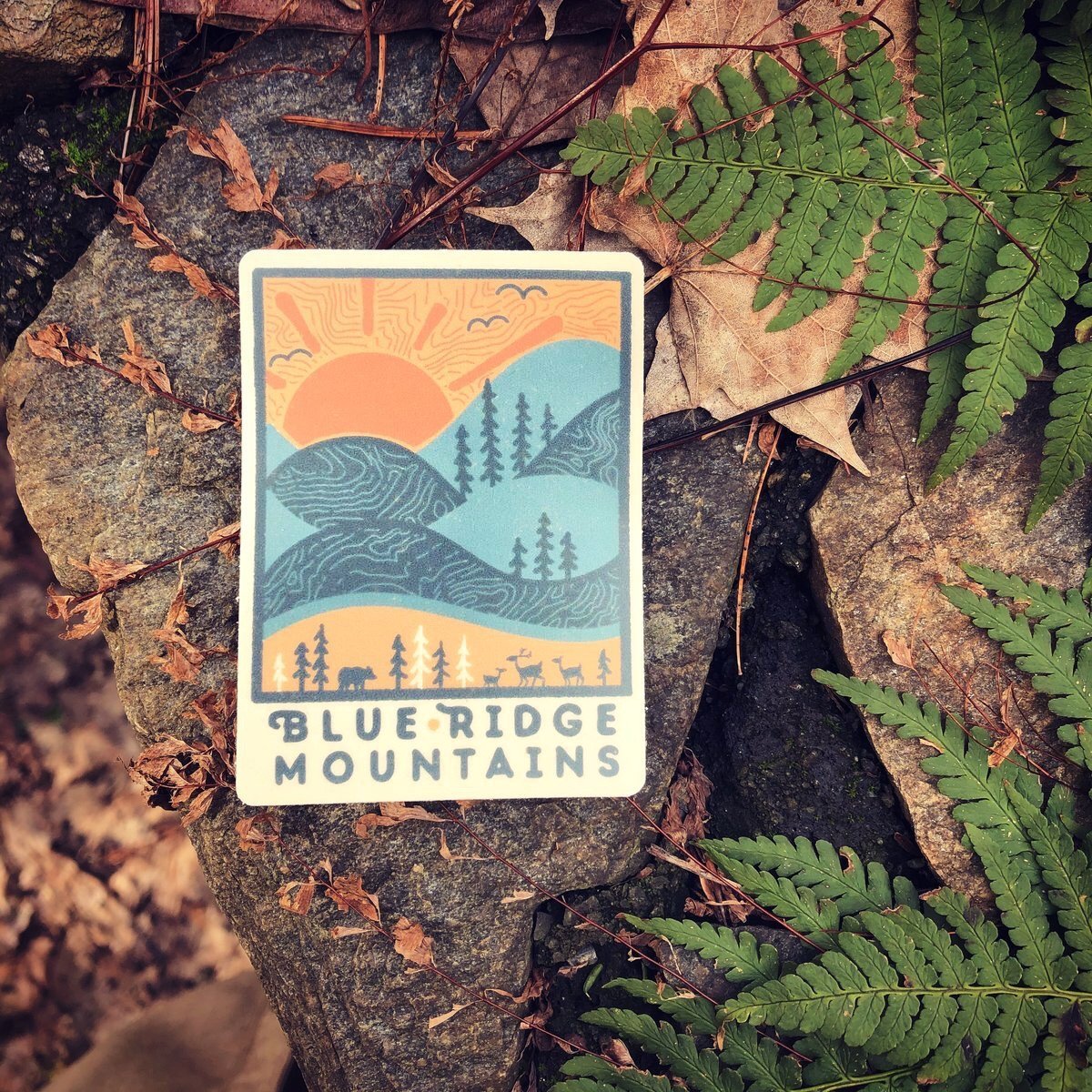 Day Ridge - menottees