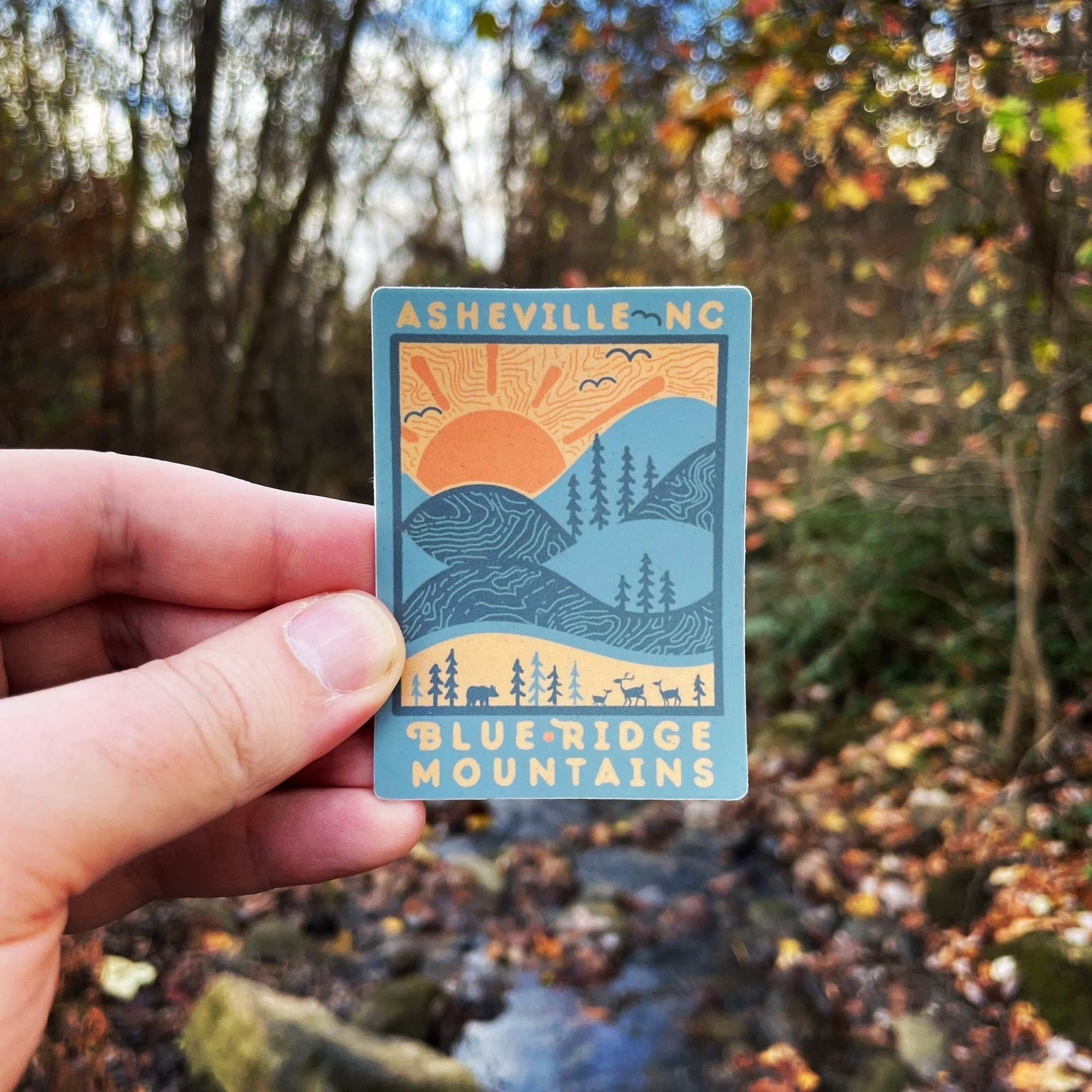 Day Ridge (Asheville) - menottees