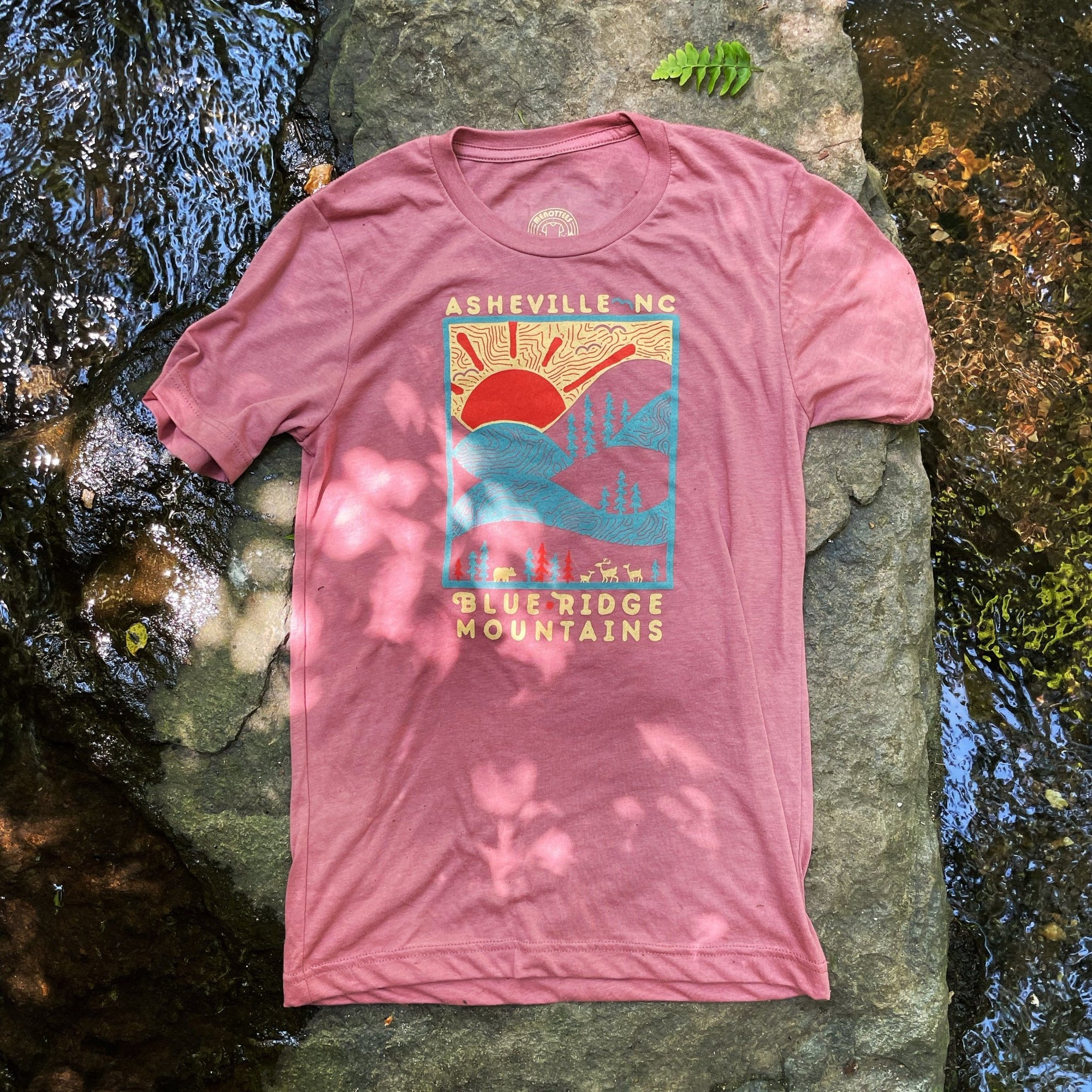 Day Ridge (Asheville) - menottees
