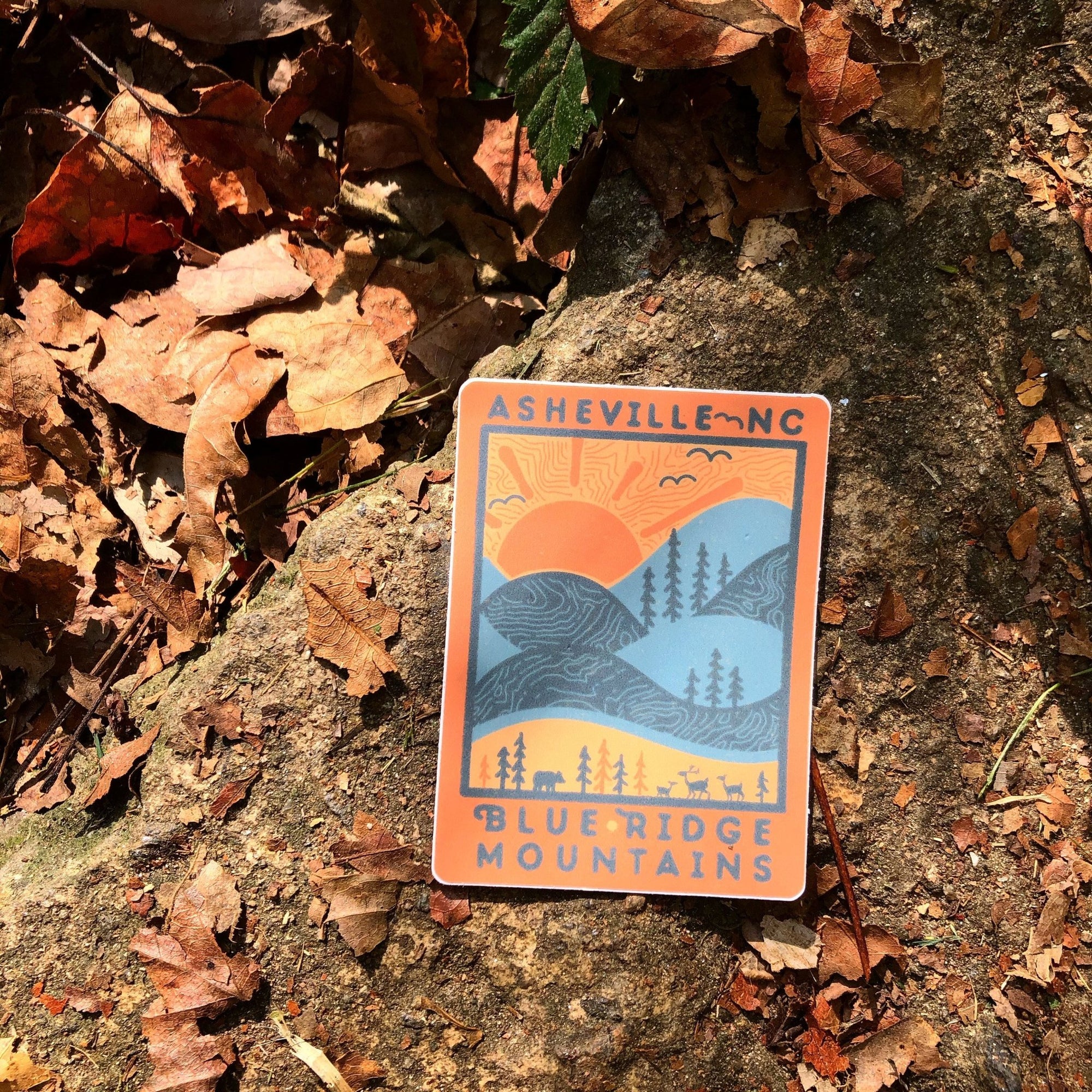 Day Ridge (Asheville) - menottees