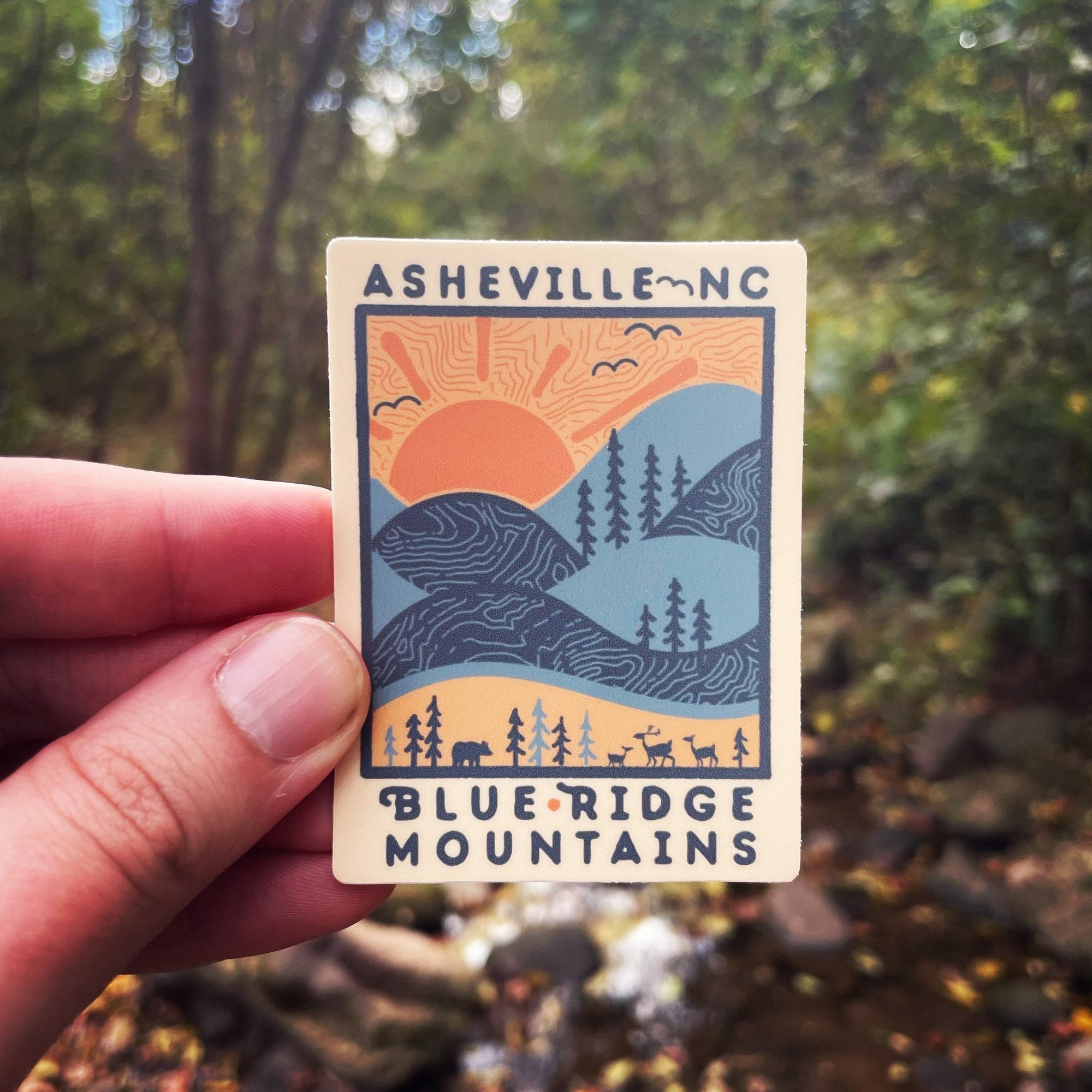 Day Ridge (Asheville) - menottees