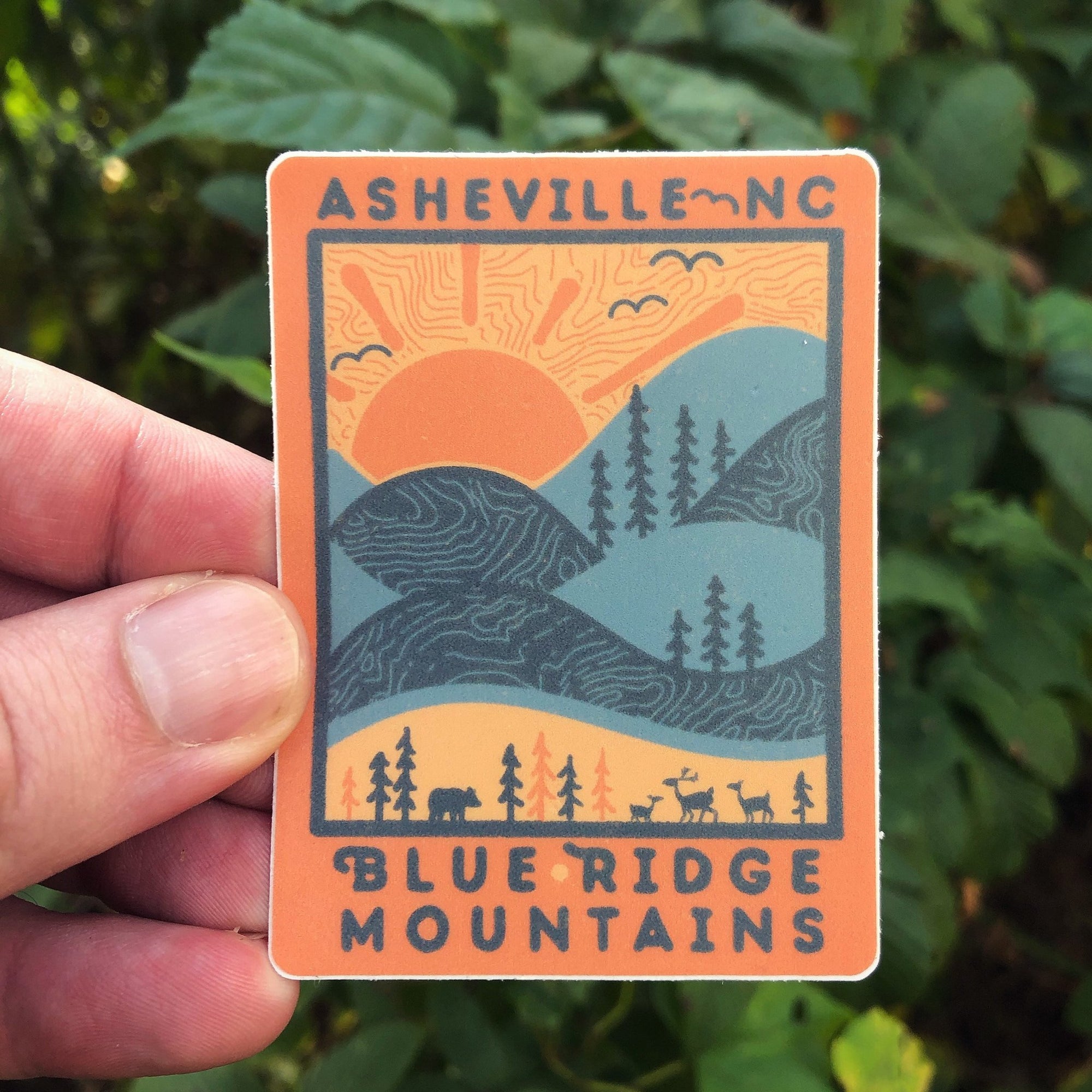 Day Ridge (Asheville) - menottees
