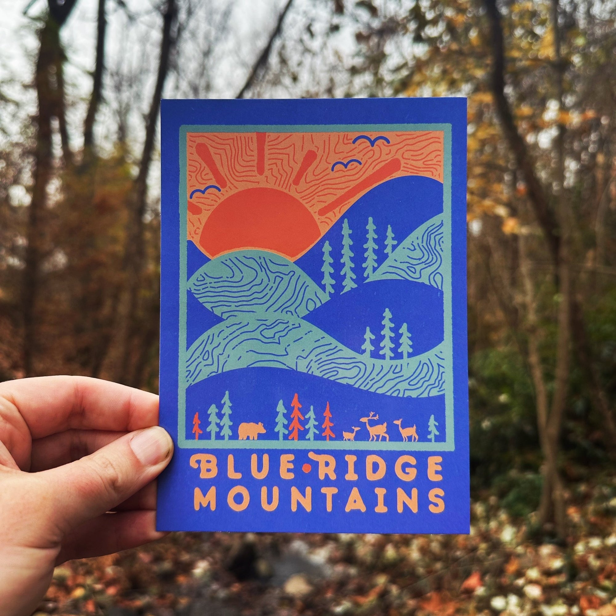 Day Ridge Postcard - menottees