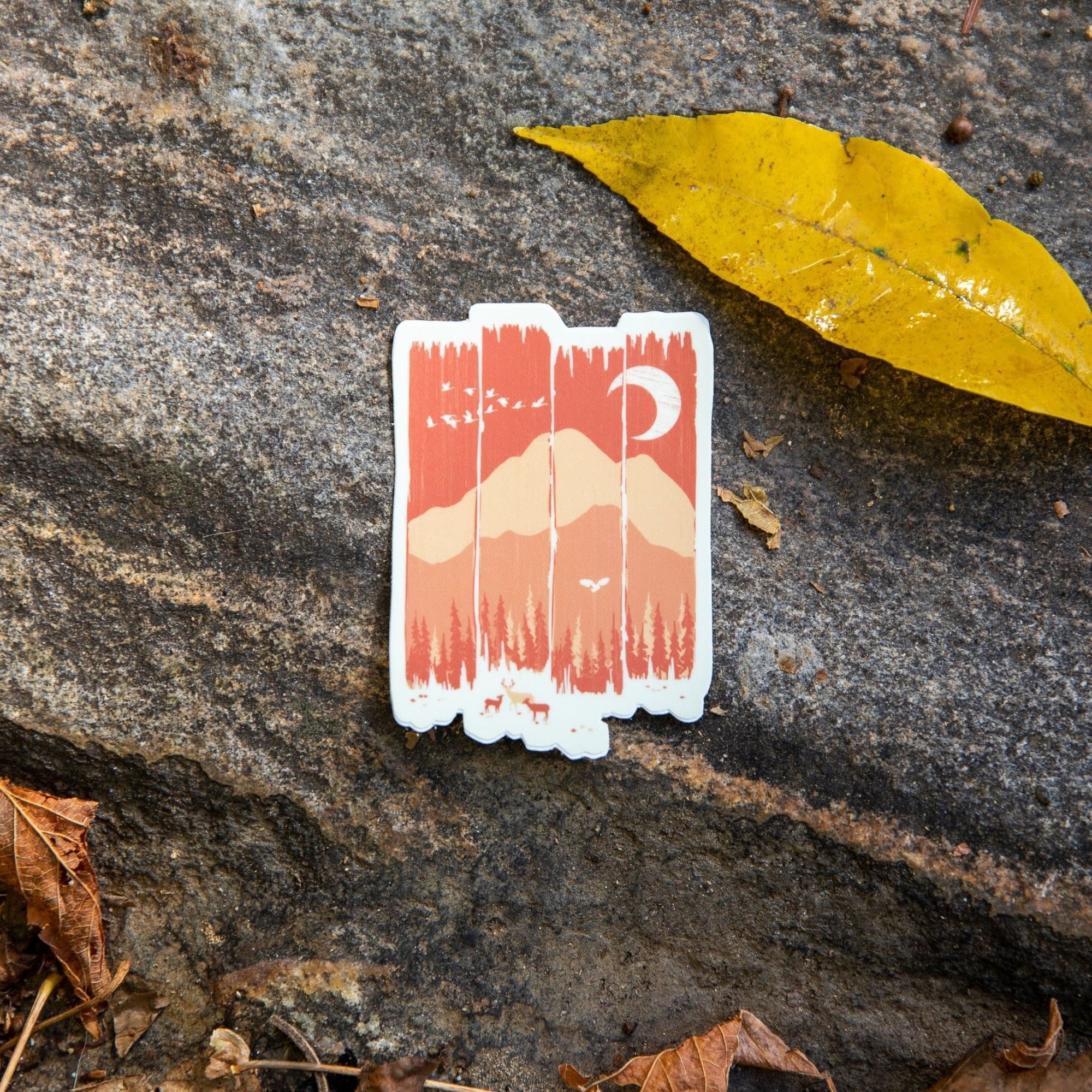 Fall Mountain Weather - menottees