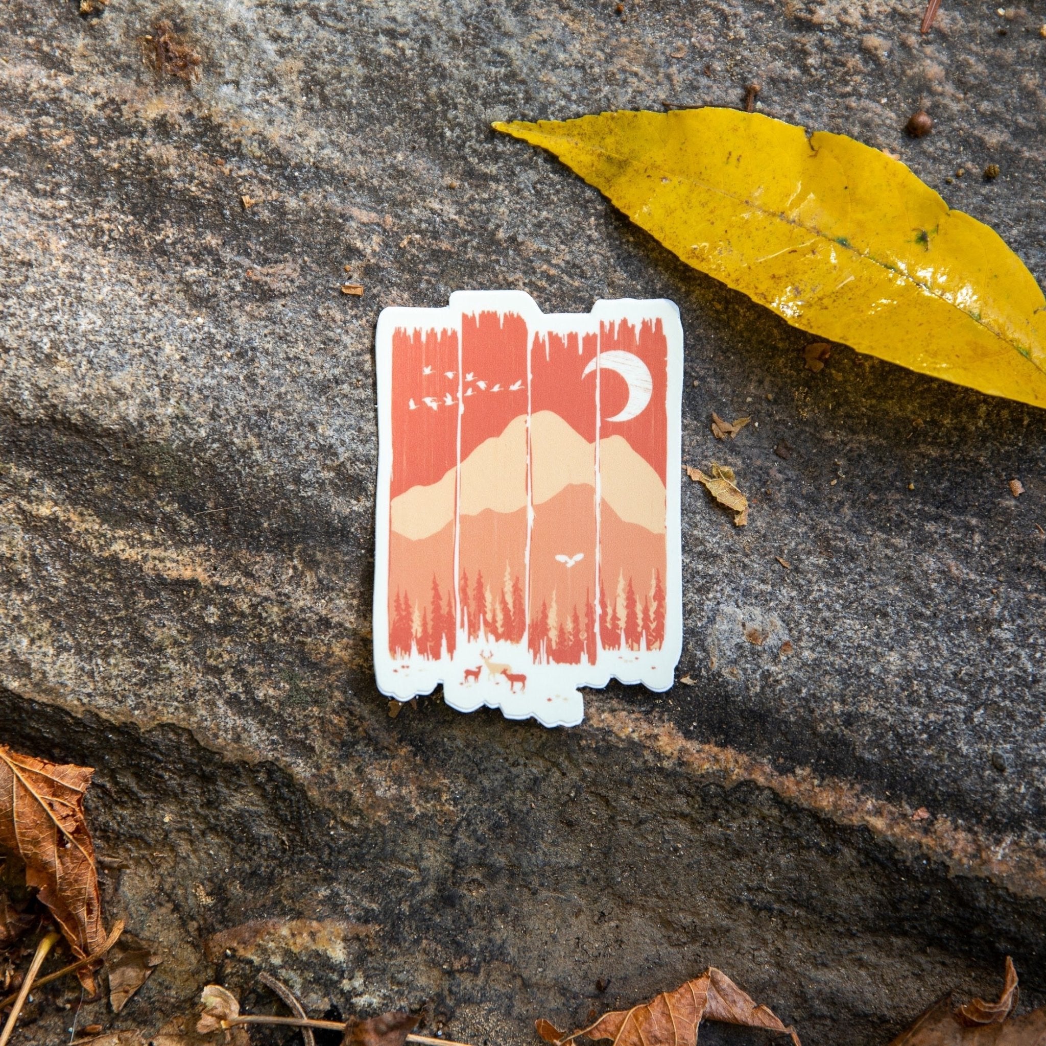 Fall Mountain Weather - menottees