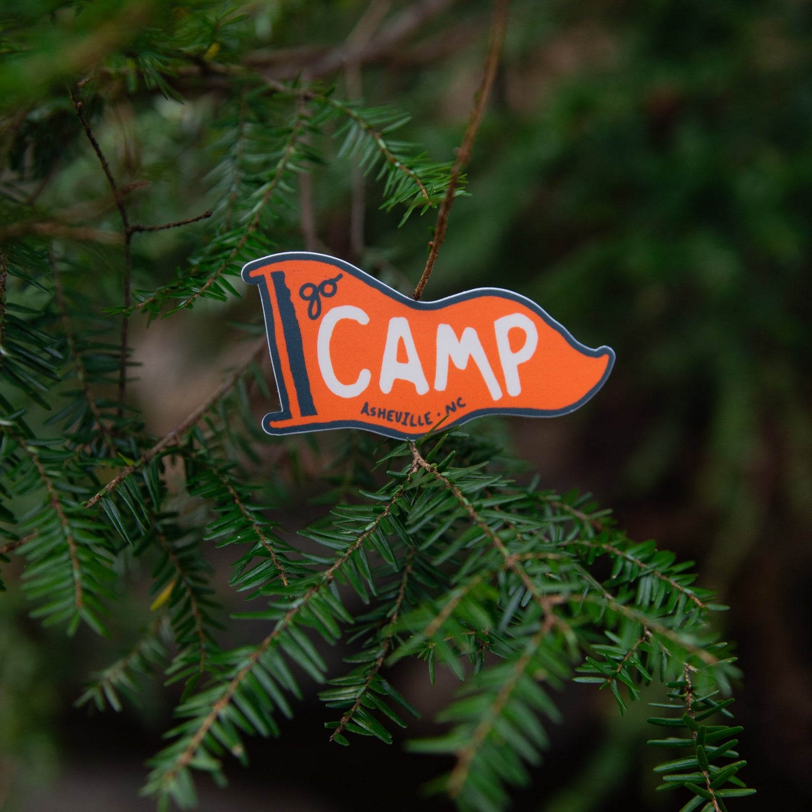 Go Camp! (Asheville) - menottees